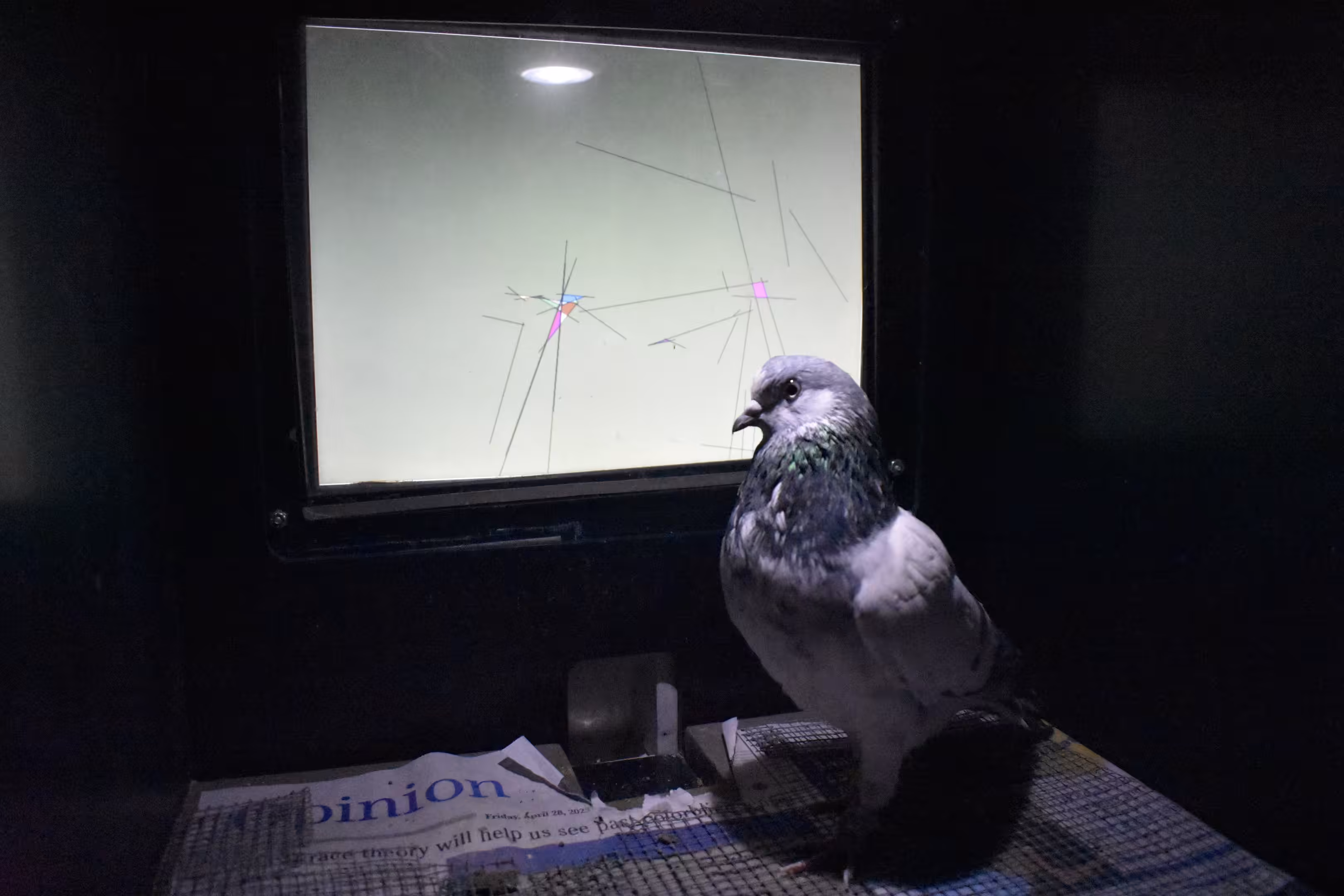 Odin with masterpiece 2023