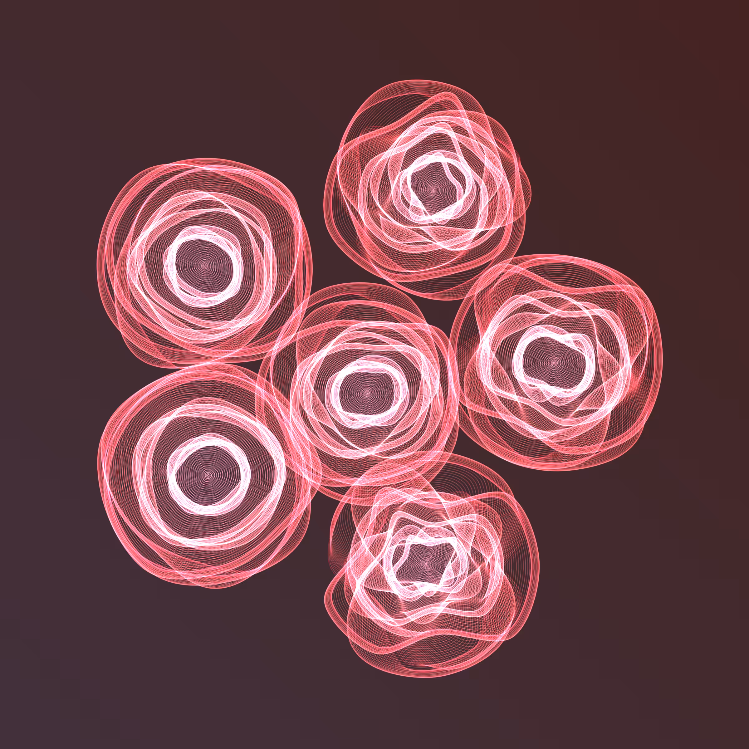 Flowers #4793