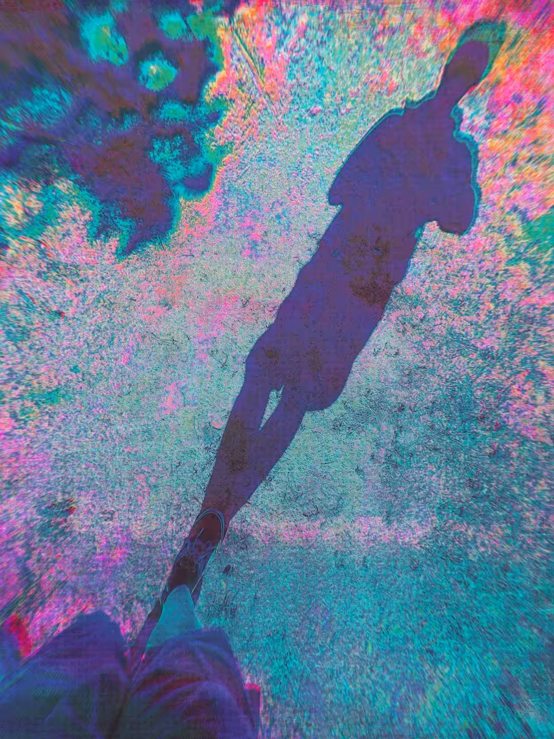 catching the shadow