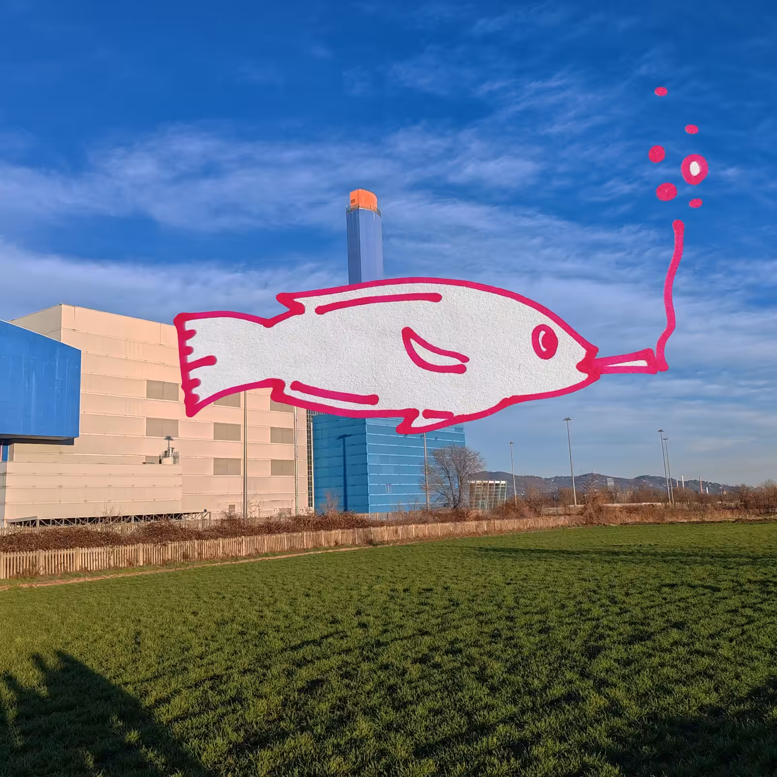 fish5