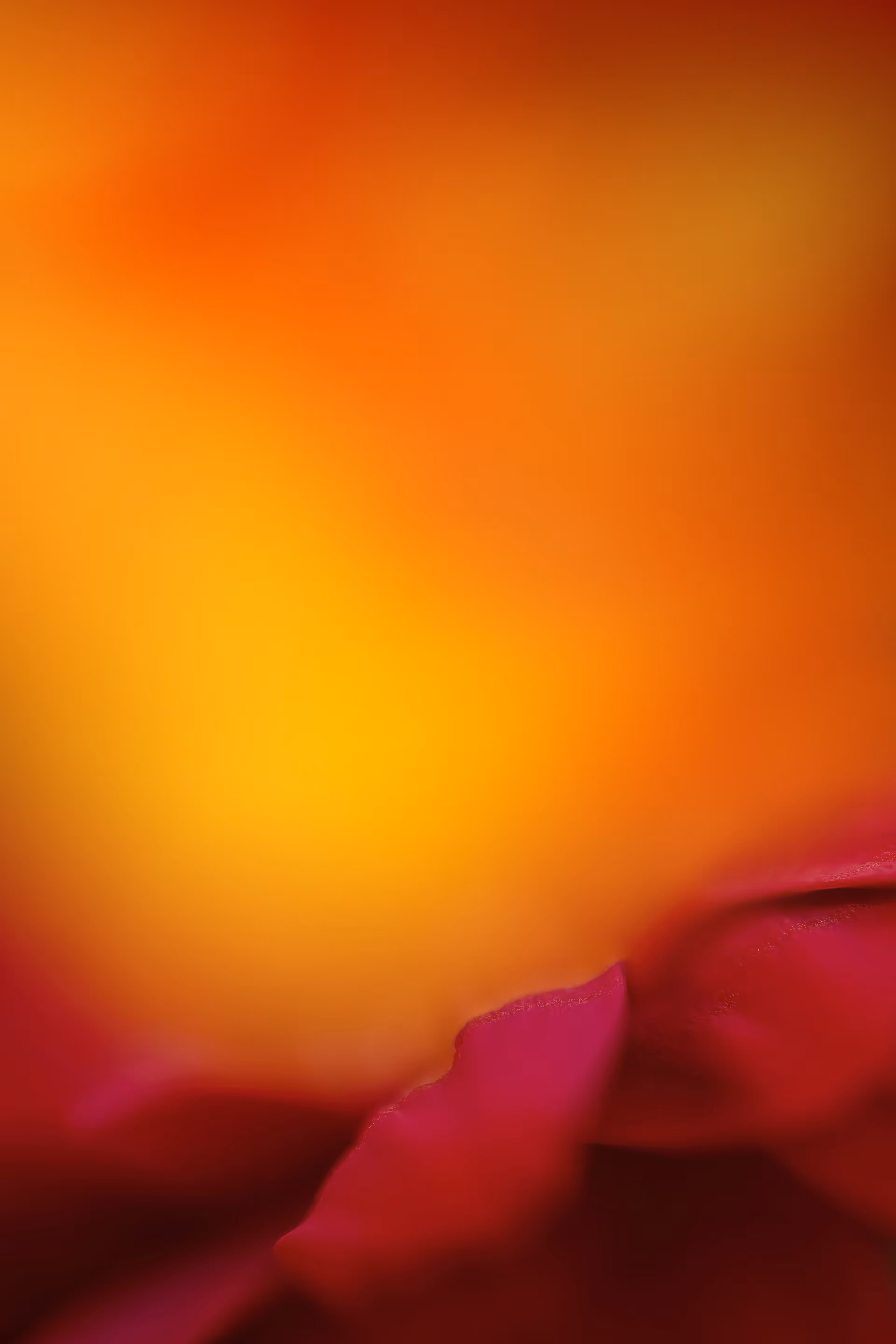 The Dawn