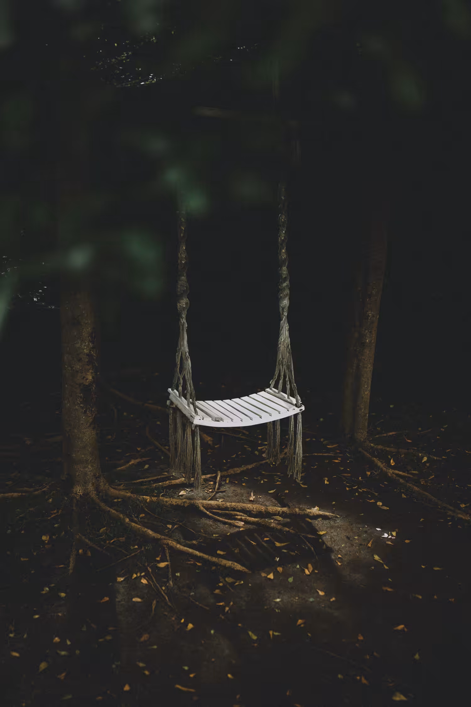 Collections I: Wooden swing memories