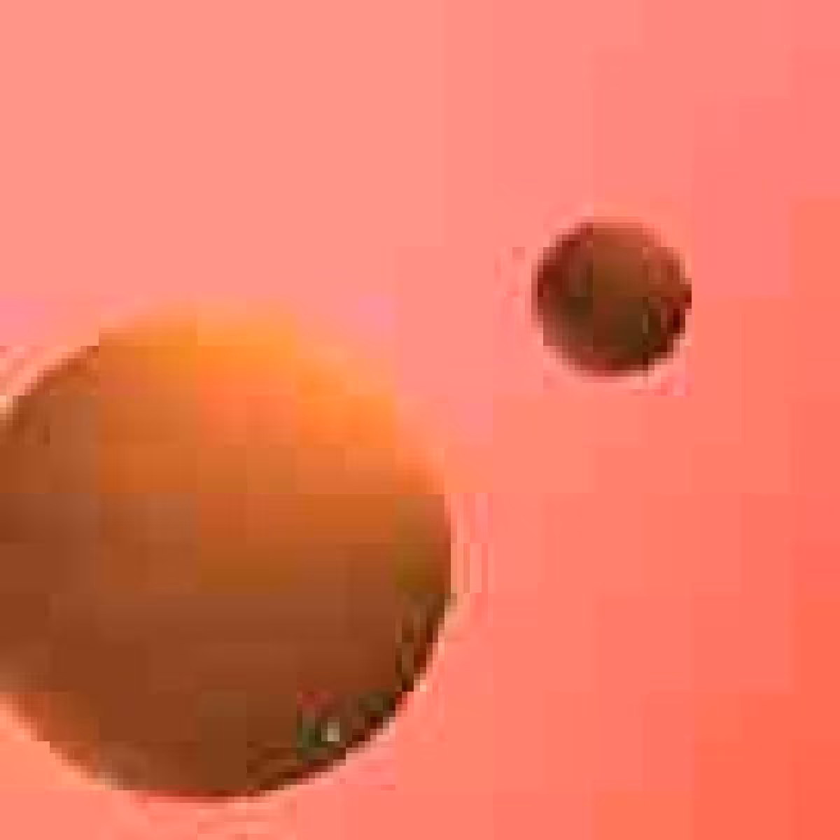 Orbit 561223873