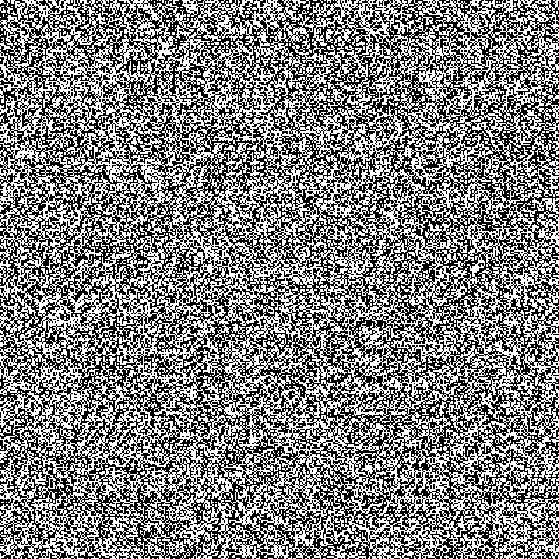 no noise #1 #1