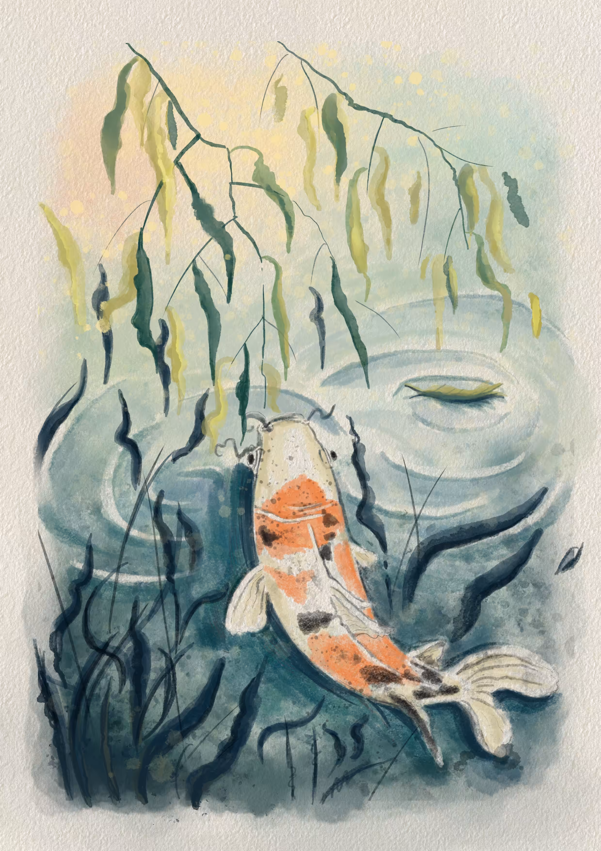 Carp climbing a waterfall