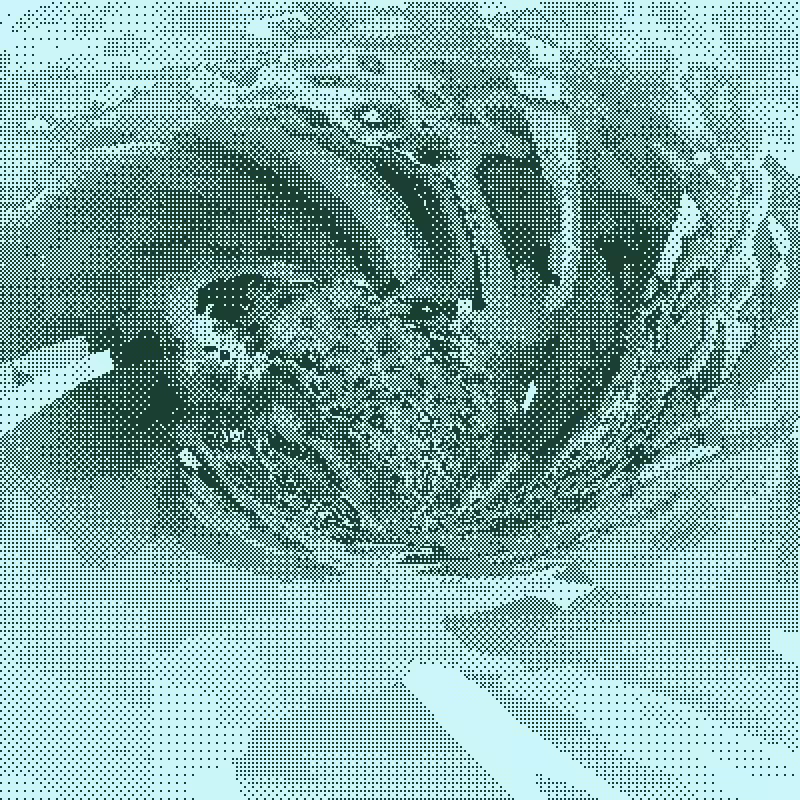 Down the Drain #80