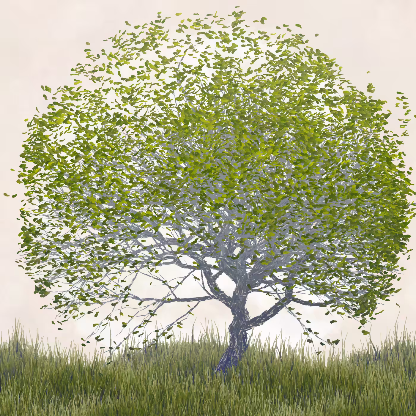 Ornamental Tree #96