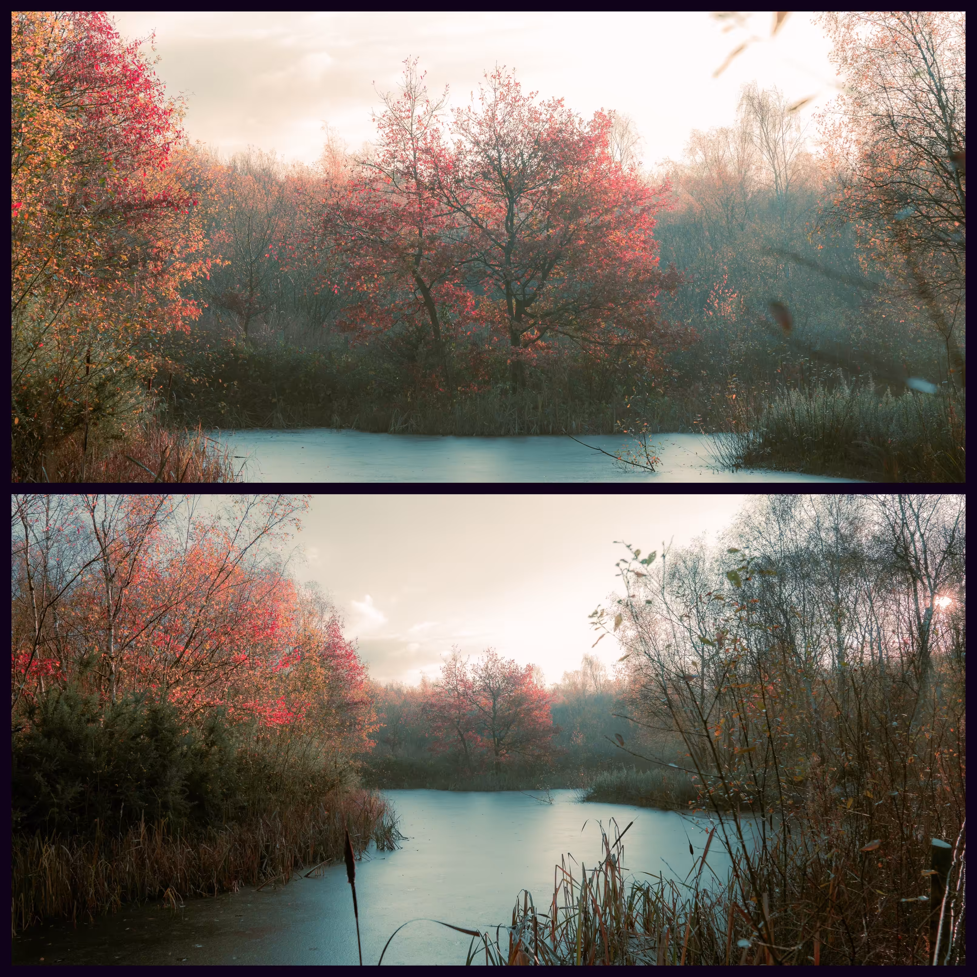 Autumn into winter