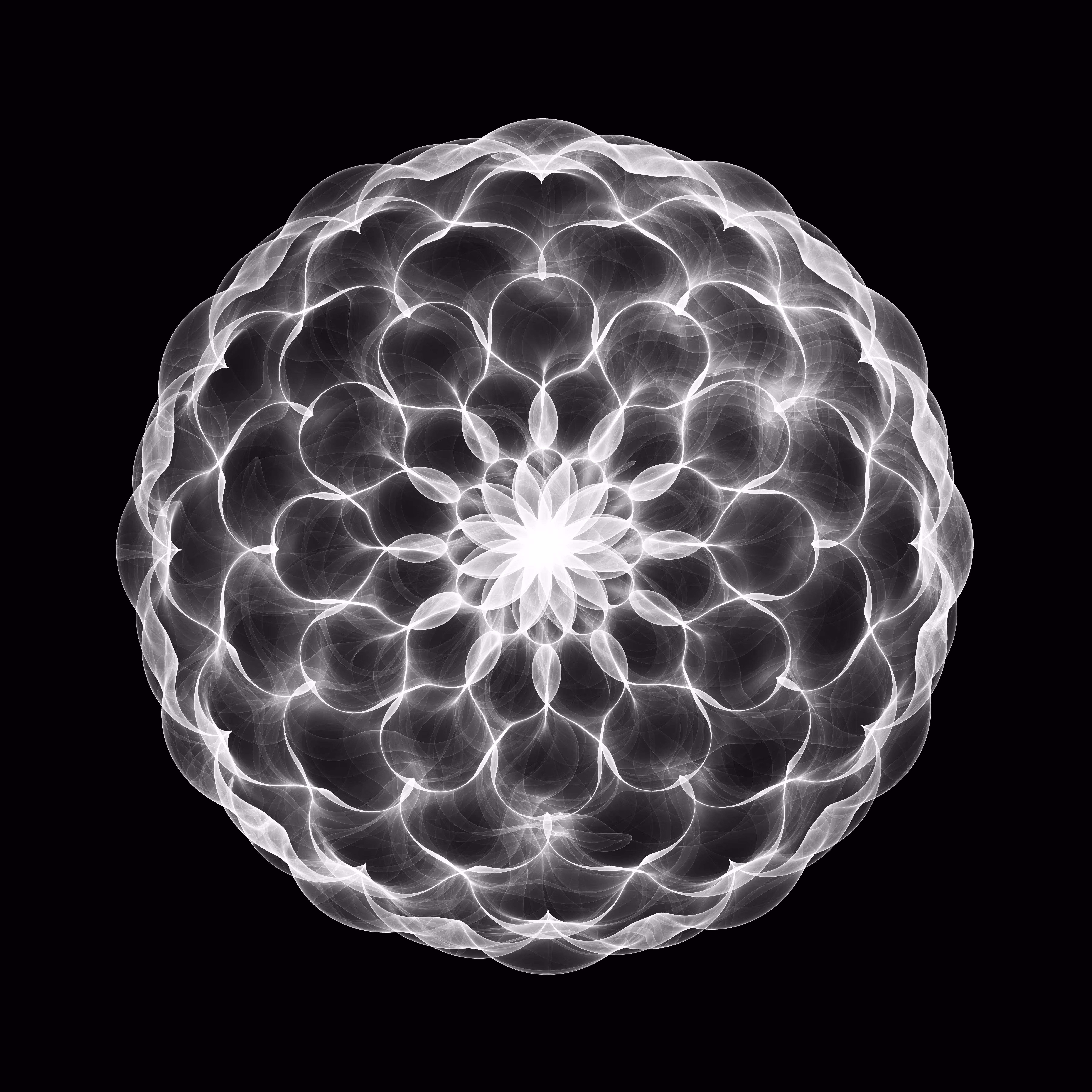 Mandala (attractor) 1
