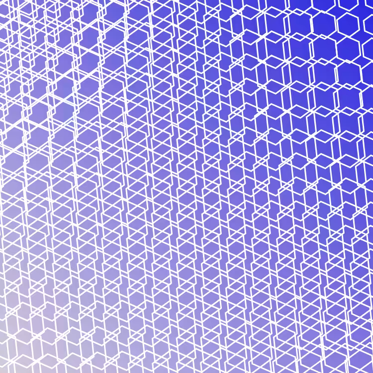 bilinearInterpolationTwist #54