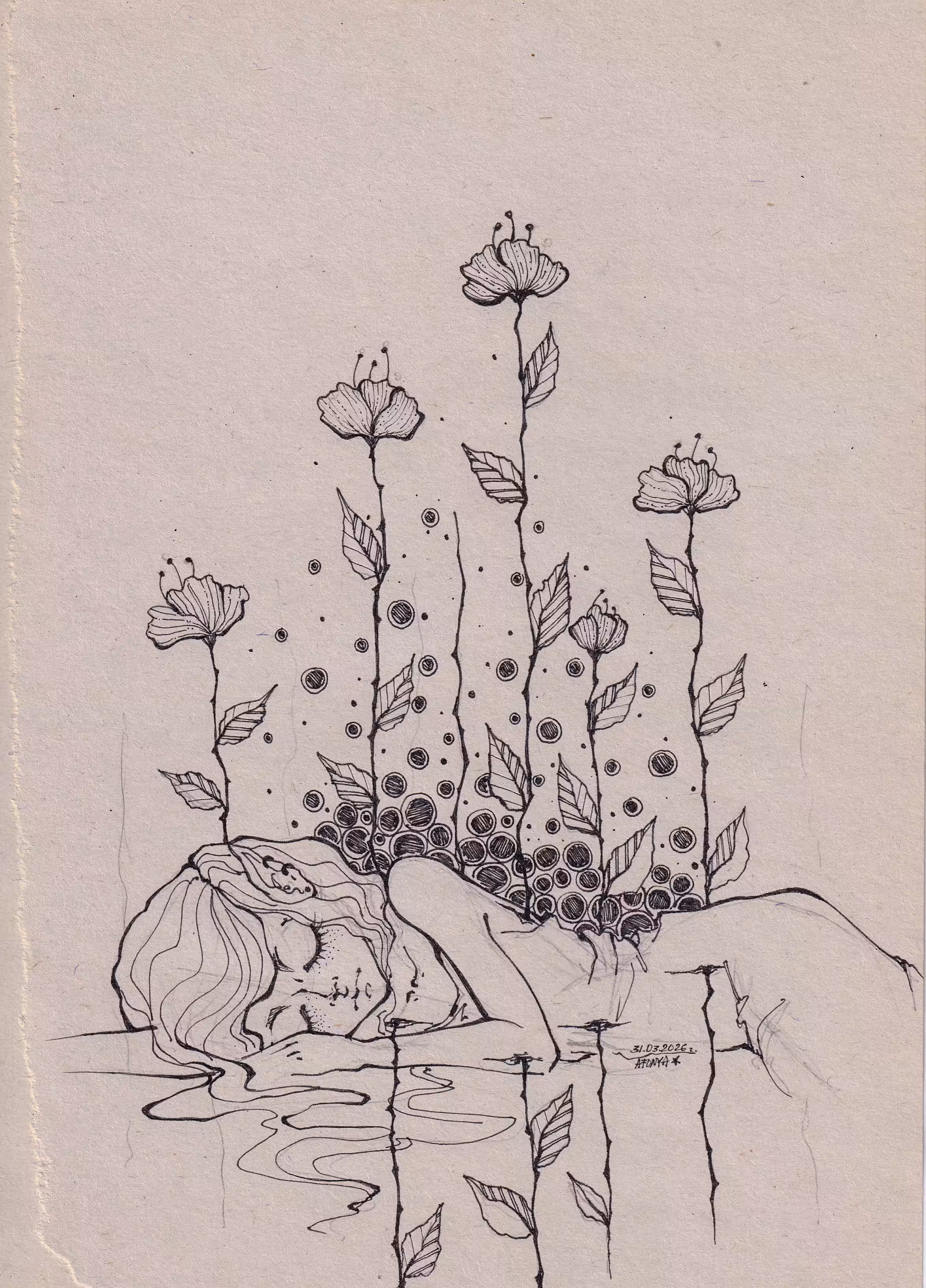 Untitled 2