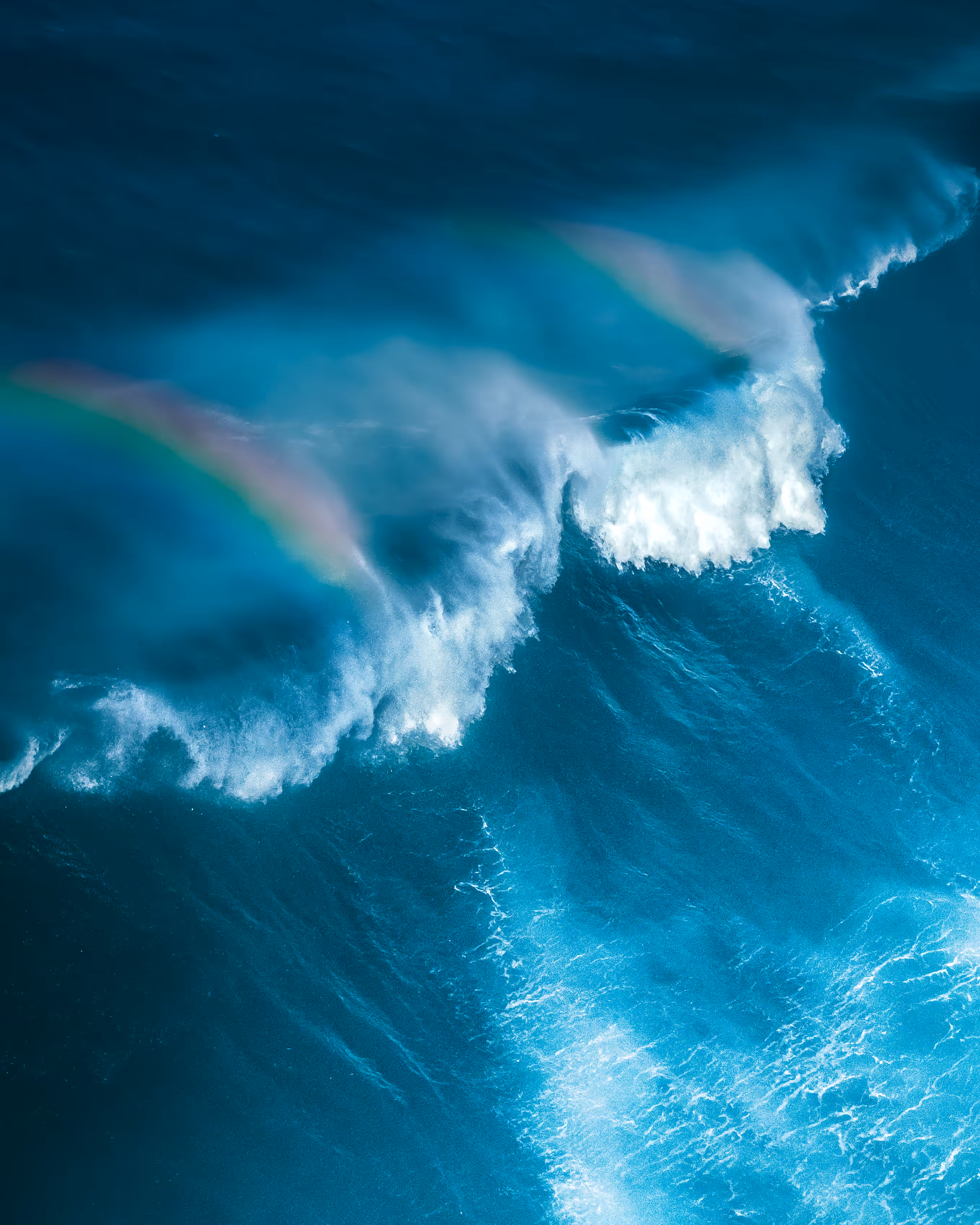 Ocean Raw #23