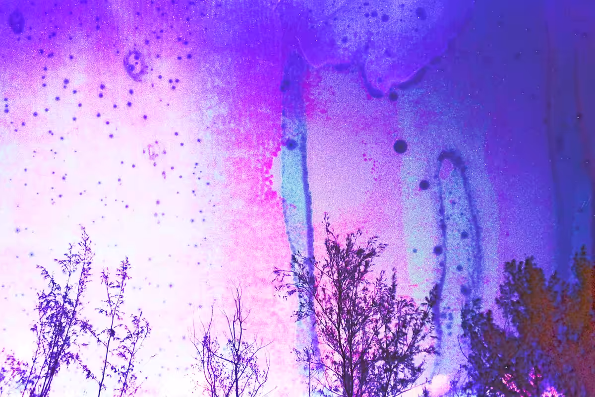 Rêveries 05