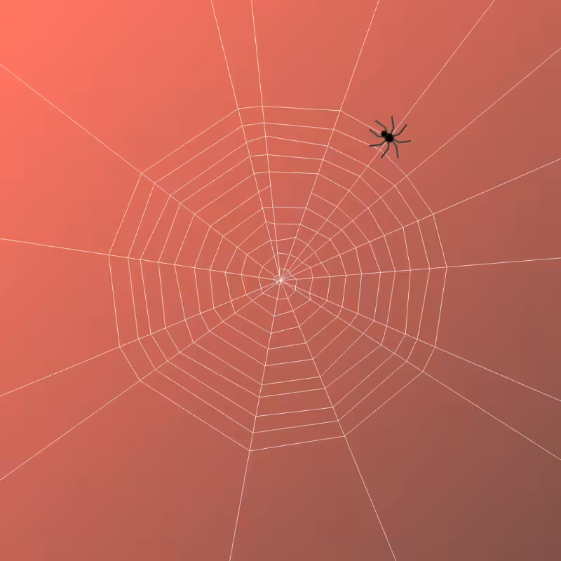 Weaving Spiders #1