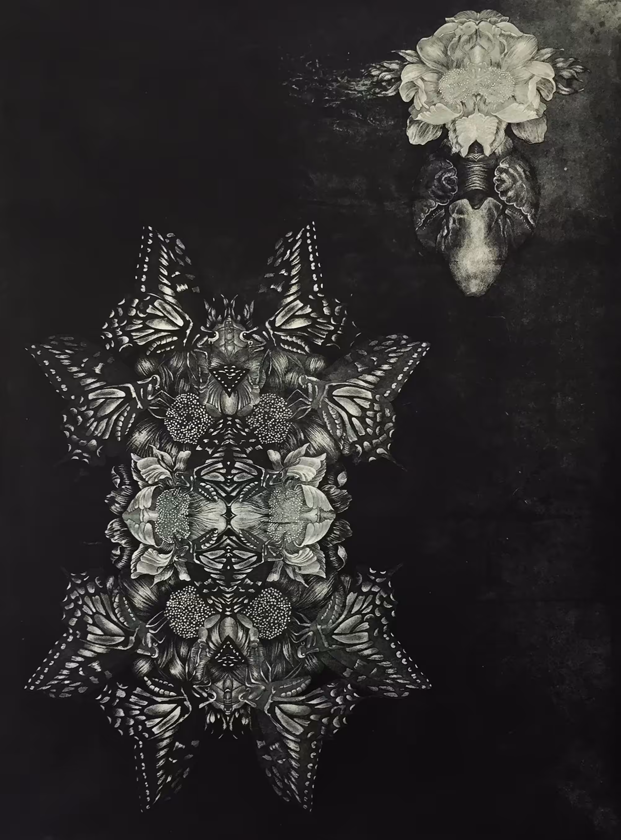 Feeling in the Shell No.8