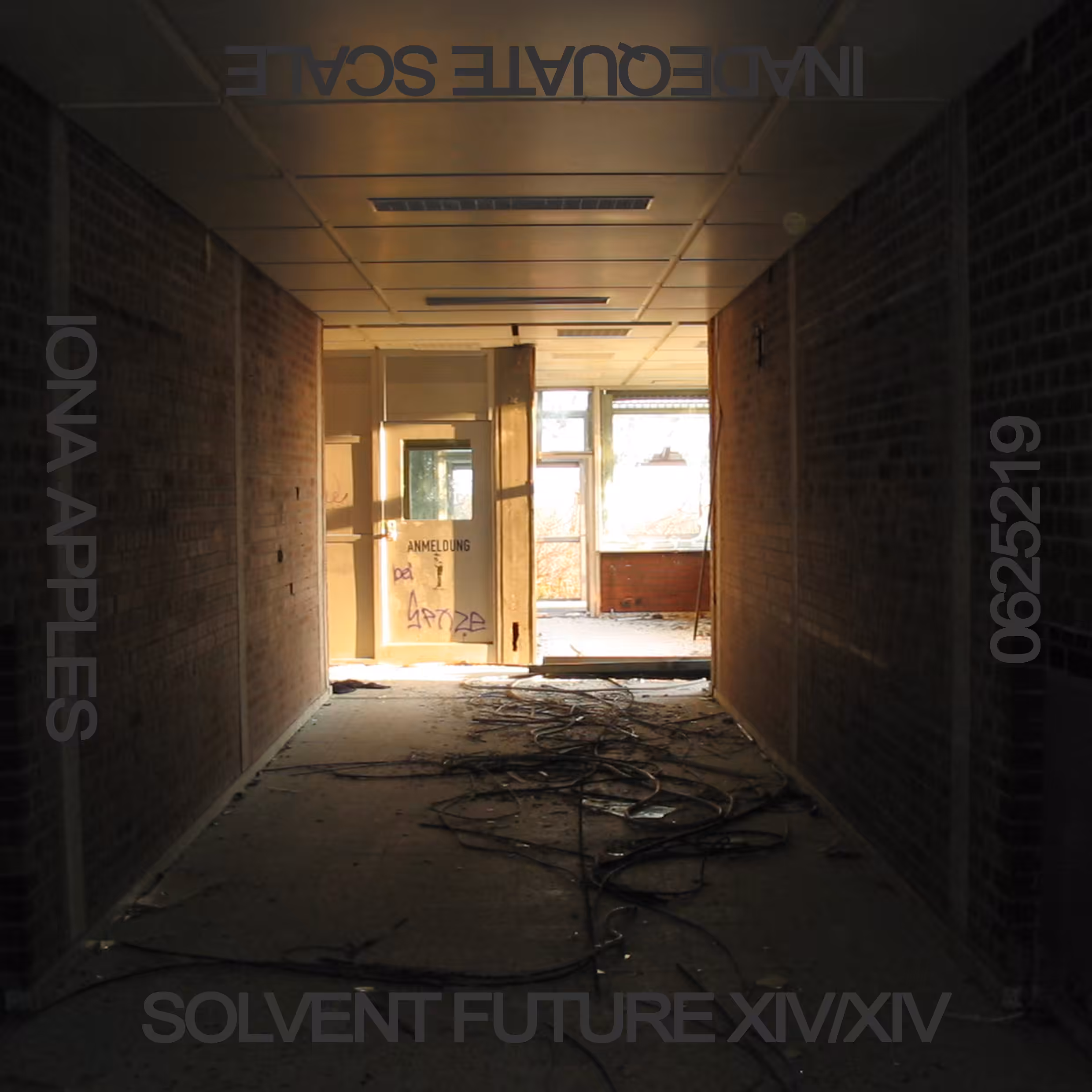 SOLVENT FUTURE // No. 62