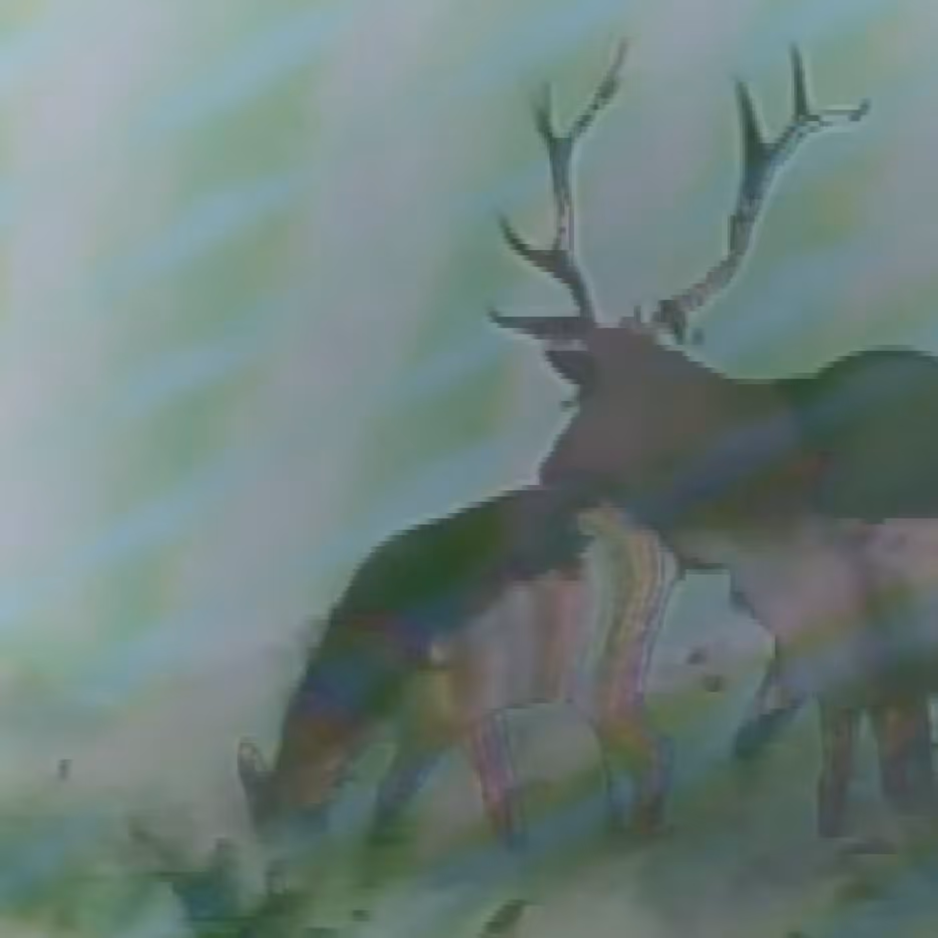 vhs dream 0068