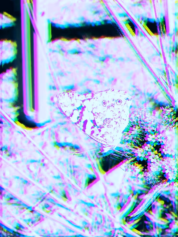 Butterfly Effect