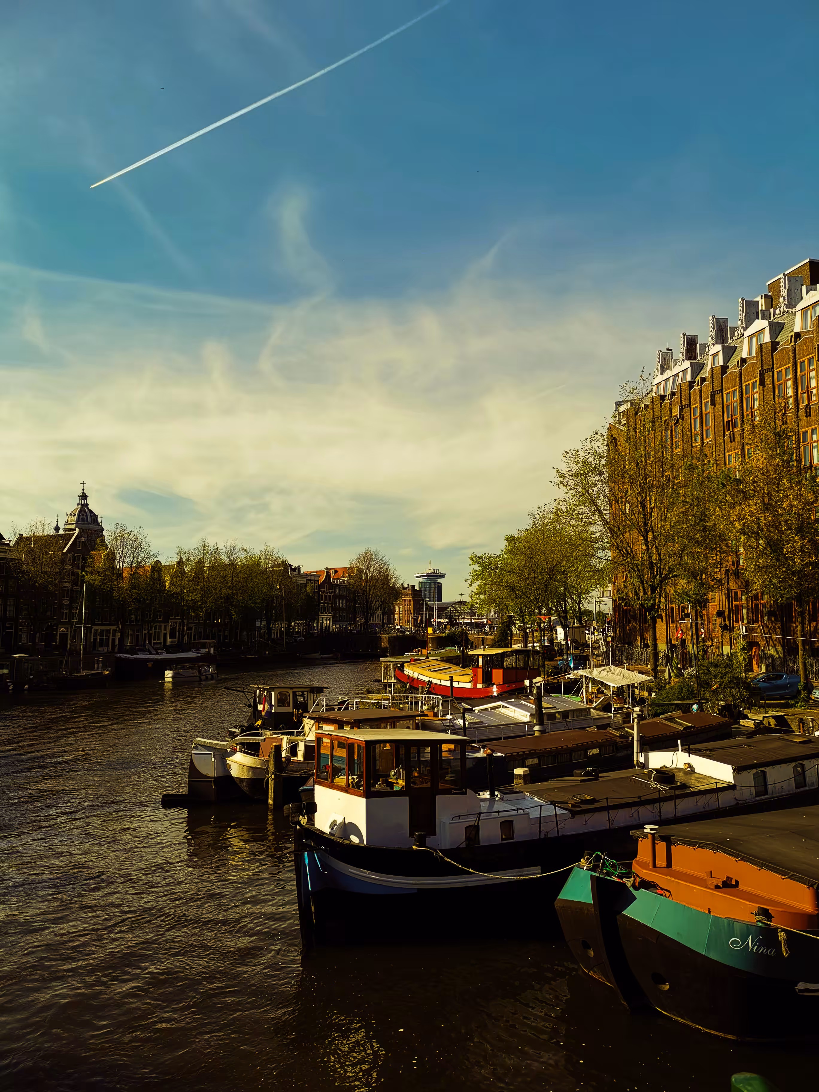 Ams. 
