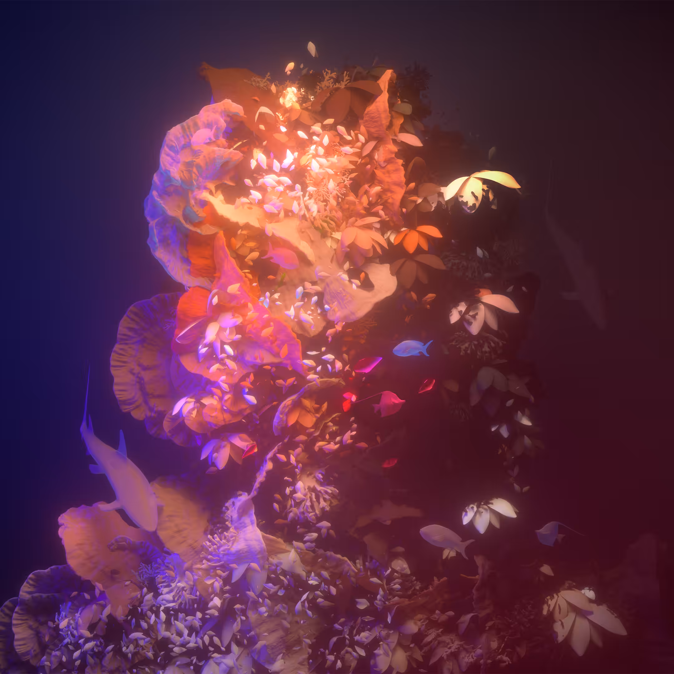 Swimmer