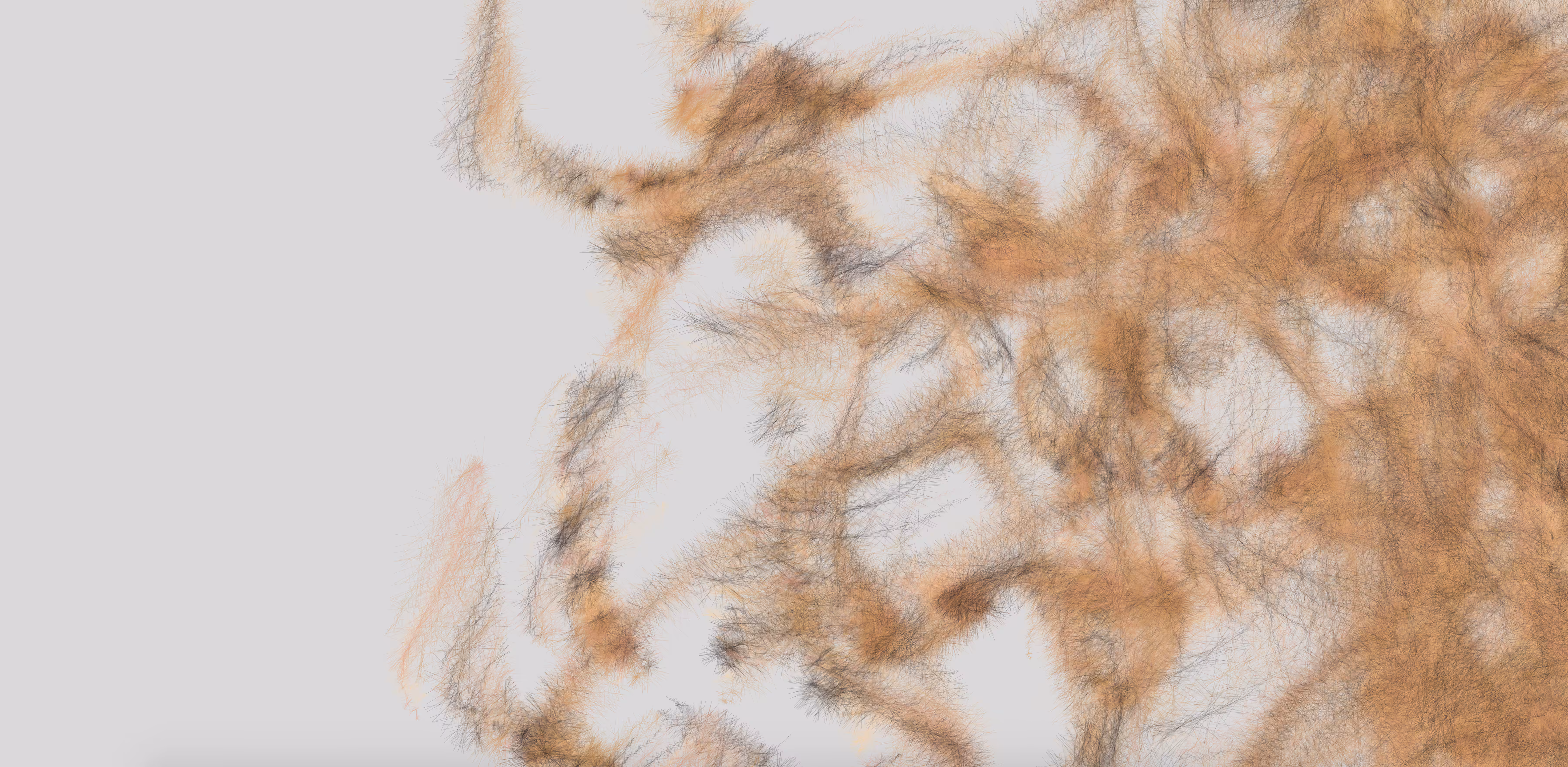 Towards a Newer Generative Cat c24