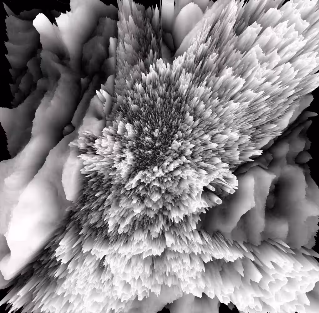 Corals