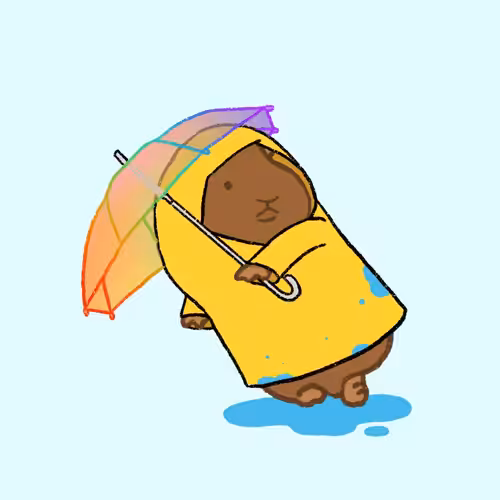 LATTE LATTE Rainy #23