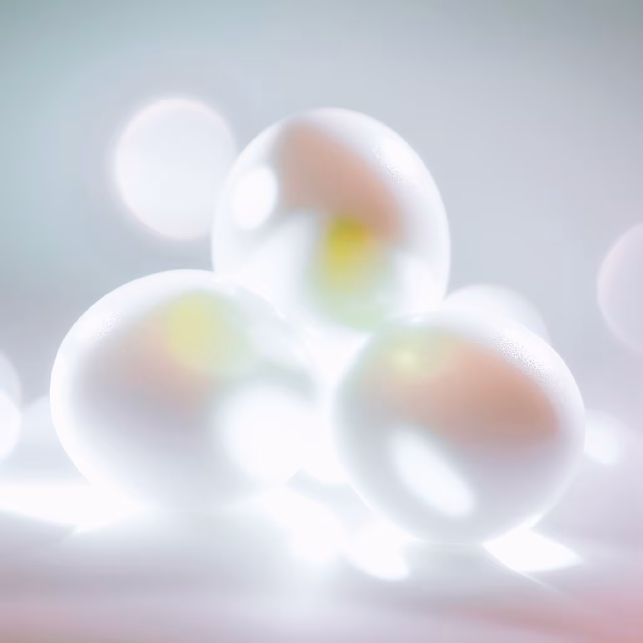 Right egg, Left egg, see
