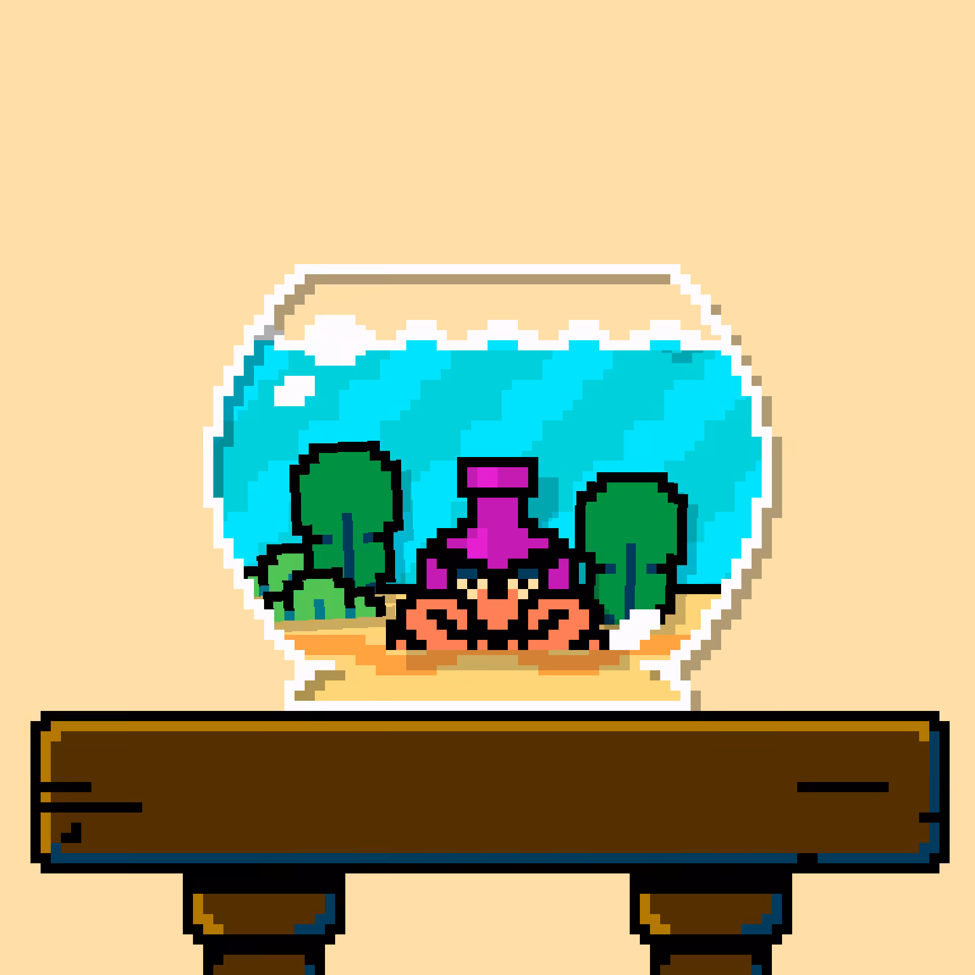 hermit crab #59