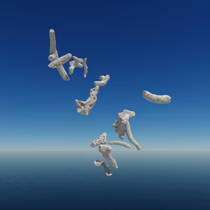 Bone Work (Gulf of Mexico) 2022 #18