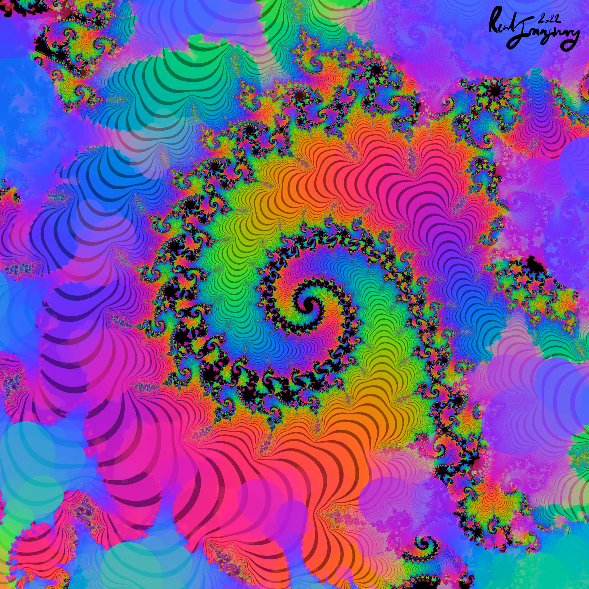 Real Imaginary | Myriad Perpetuity