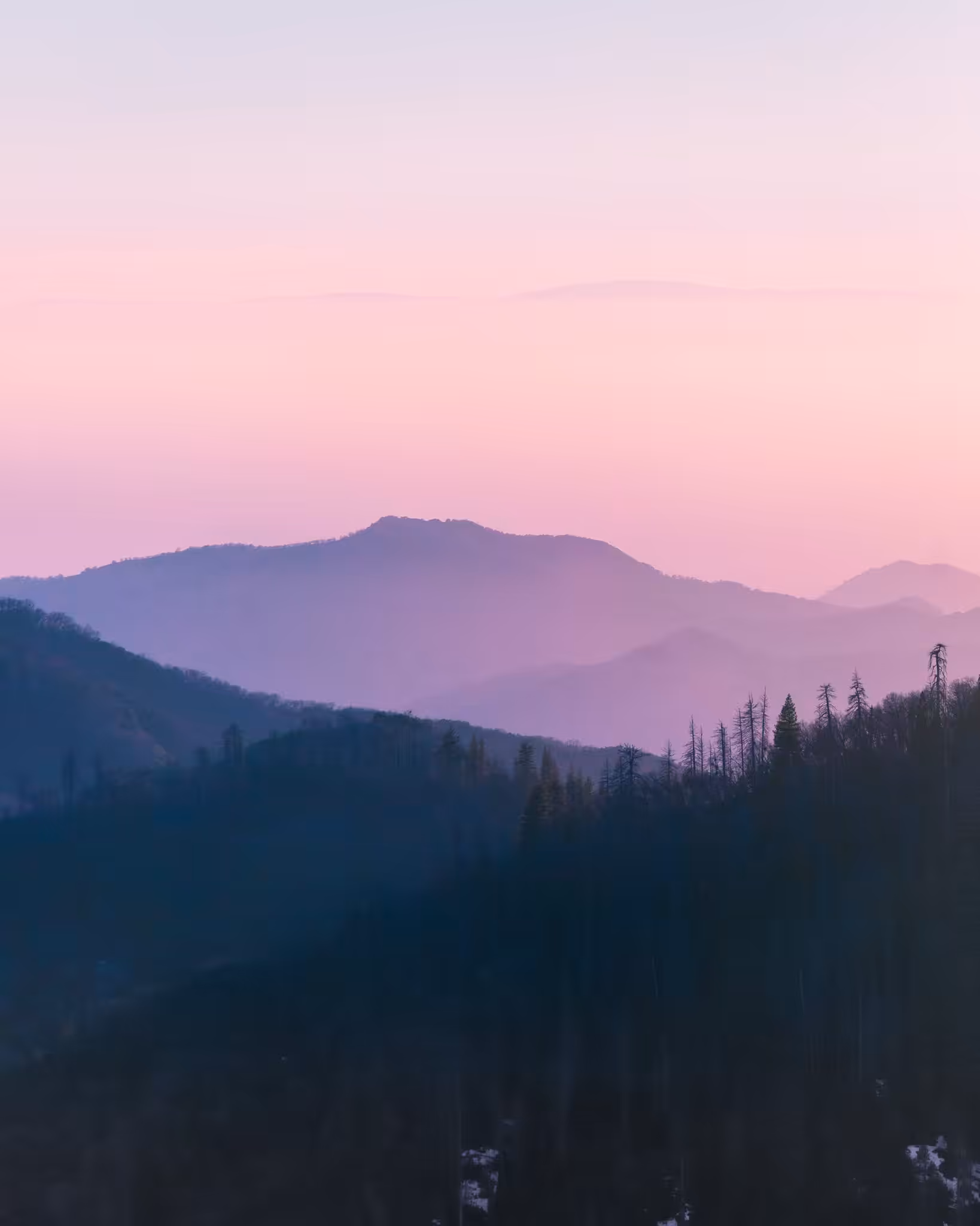 Sunset in Sequoia #2