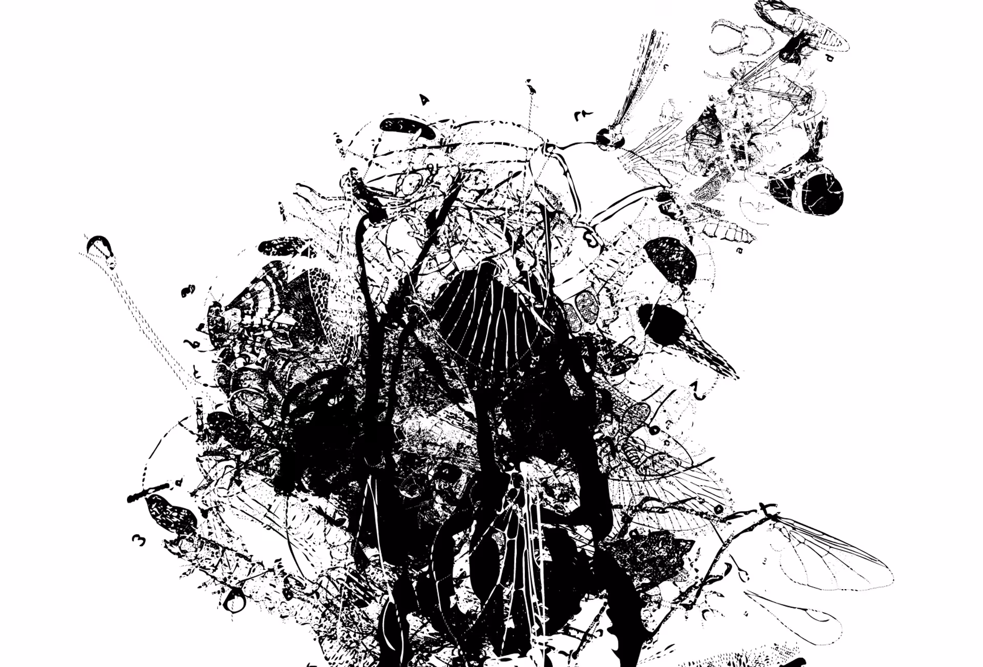 insections: oo6  insections   (b/w, colorcycled)