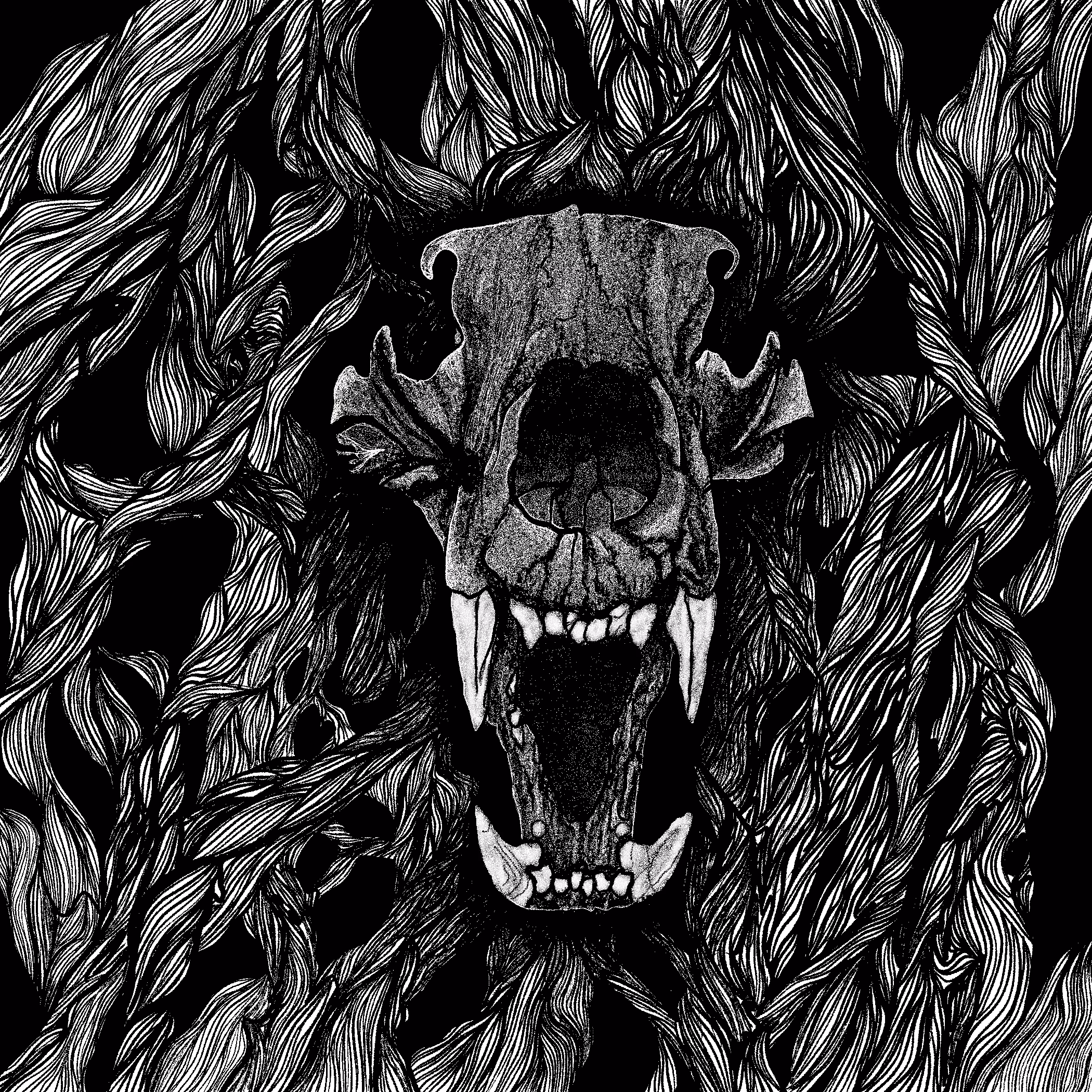 Night Creatures
