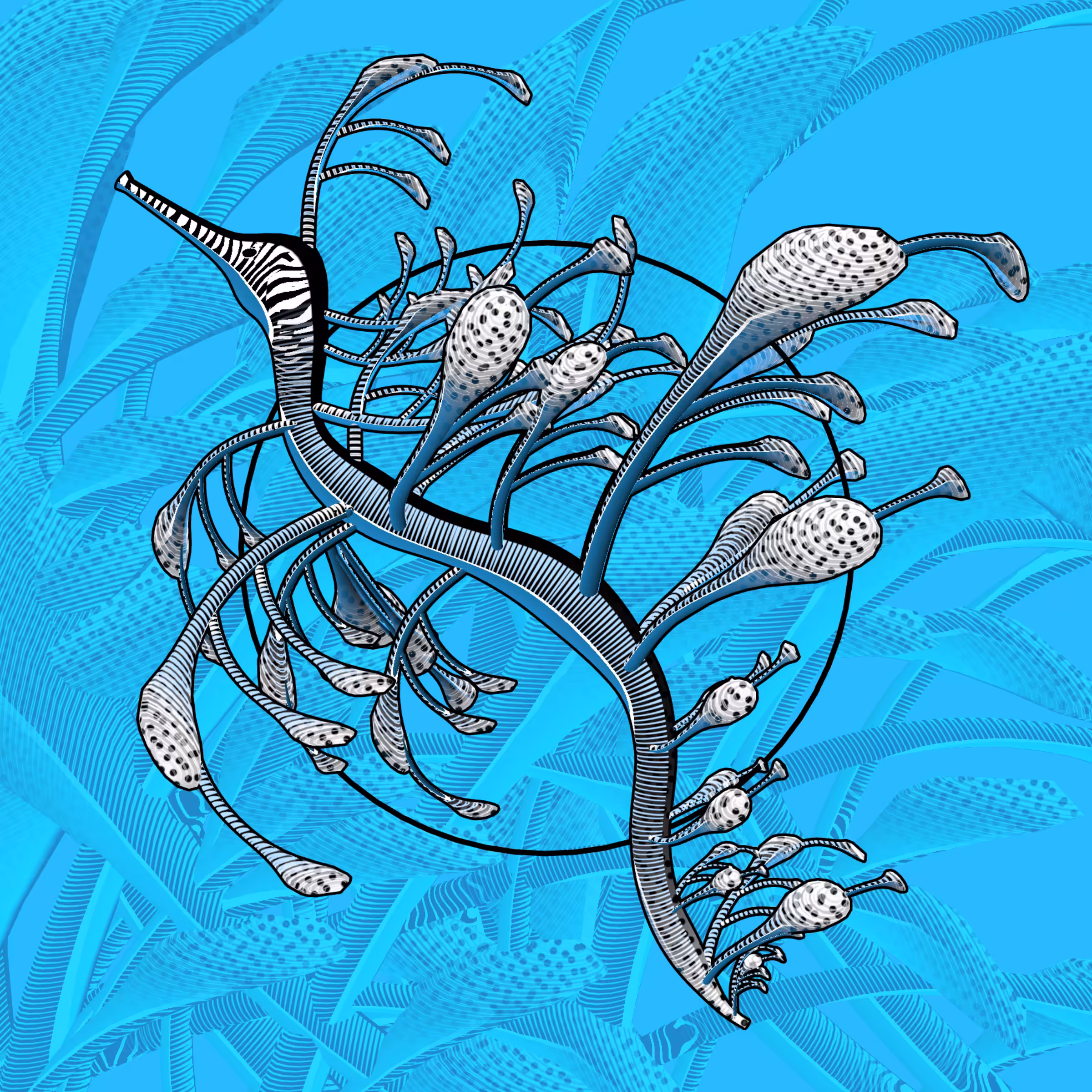 Seadragons #475