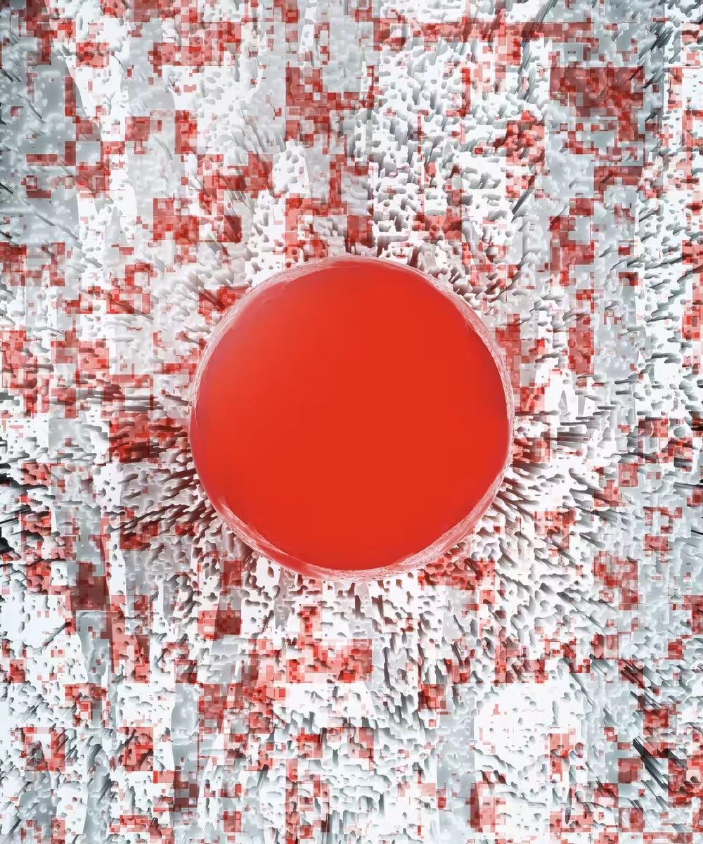 Red White