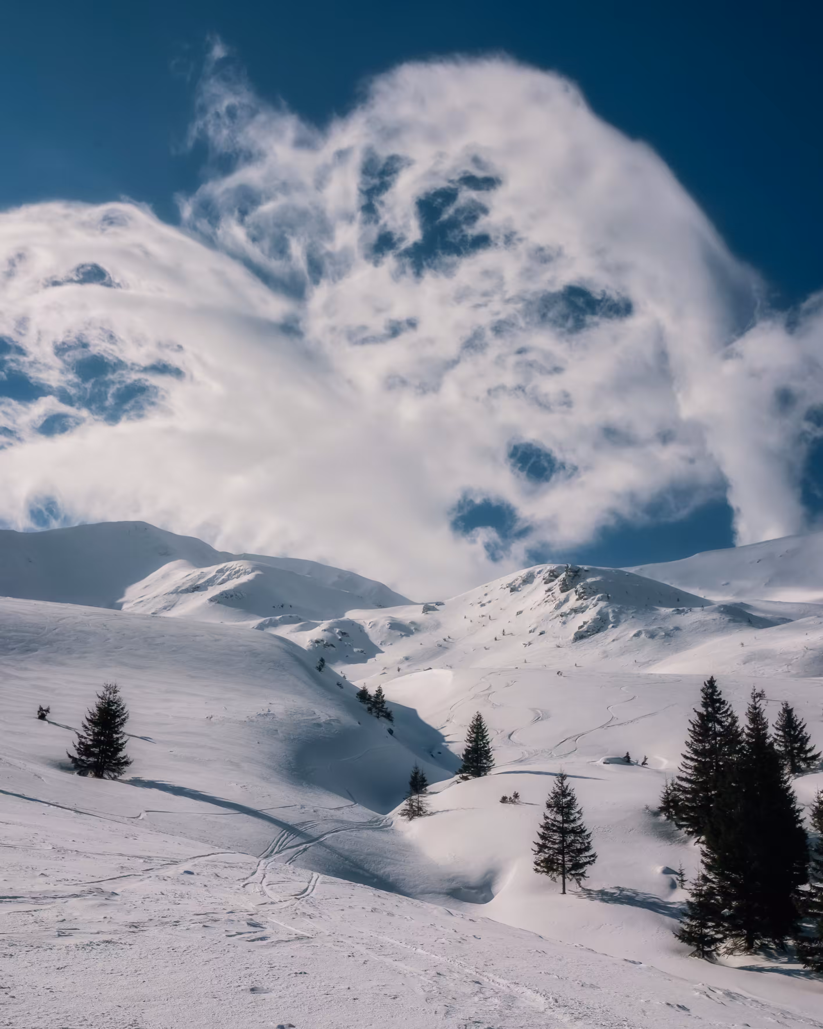 Freeride