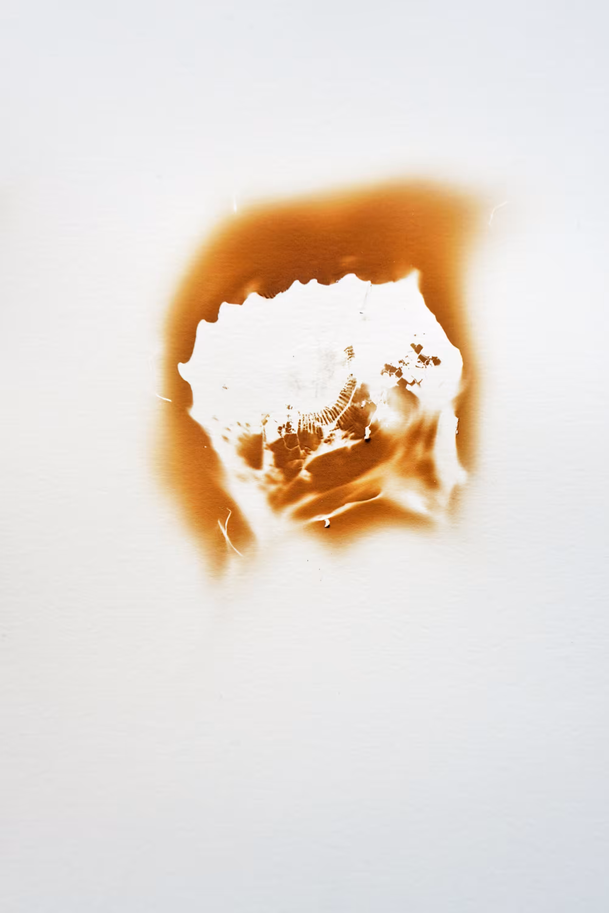 Fingerprint 08