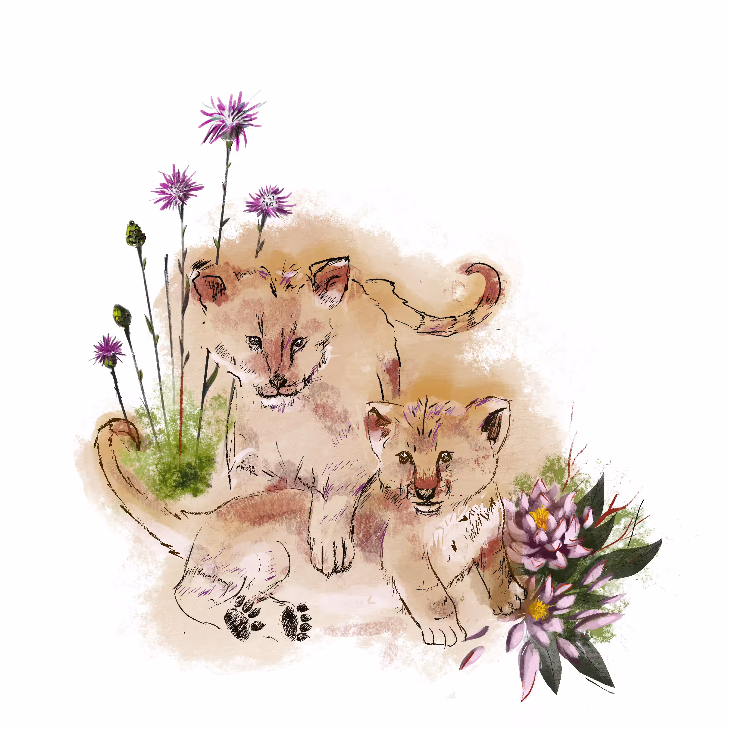Lion Cubs