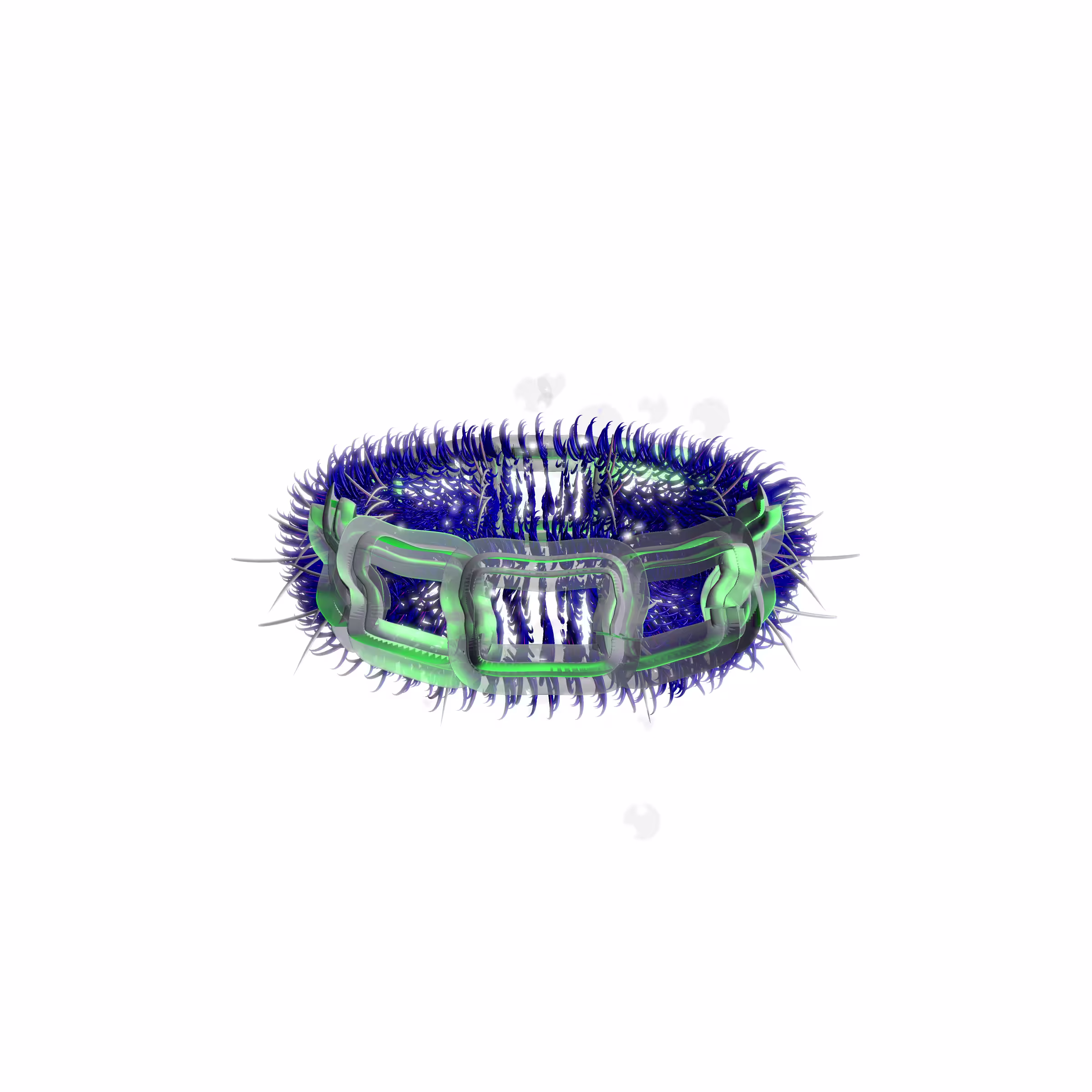 Lycorises #30