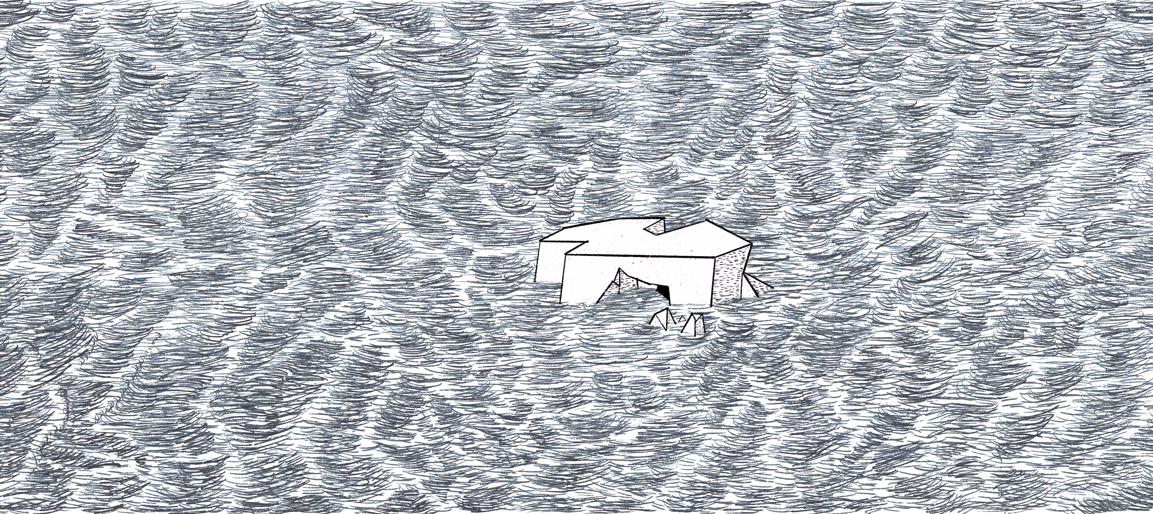 ISLAND #010