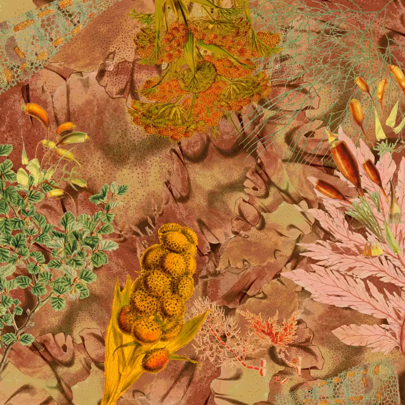 future flora from Antarctica's past #10