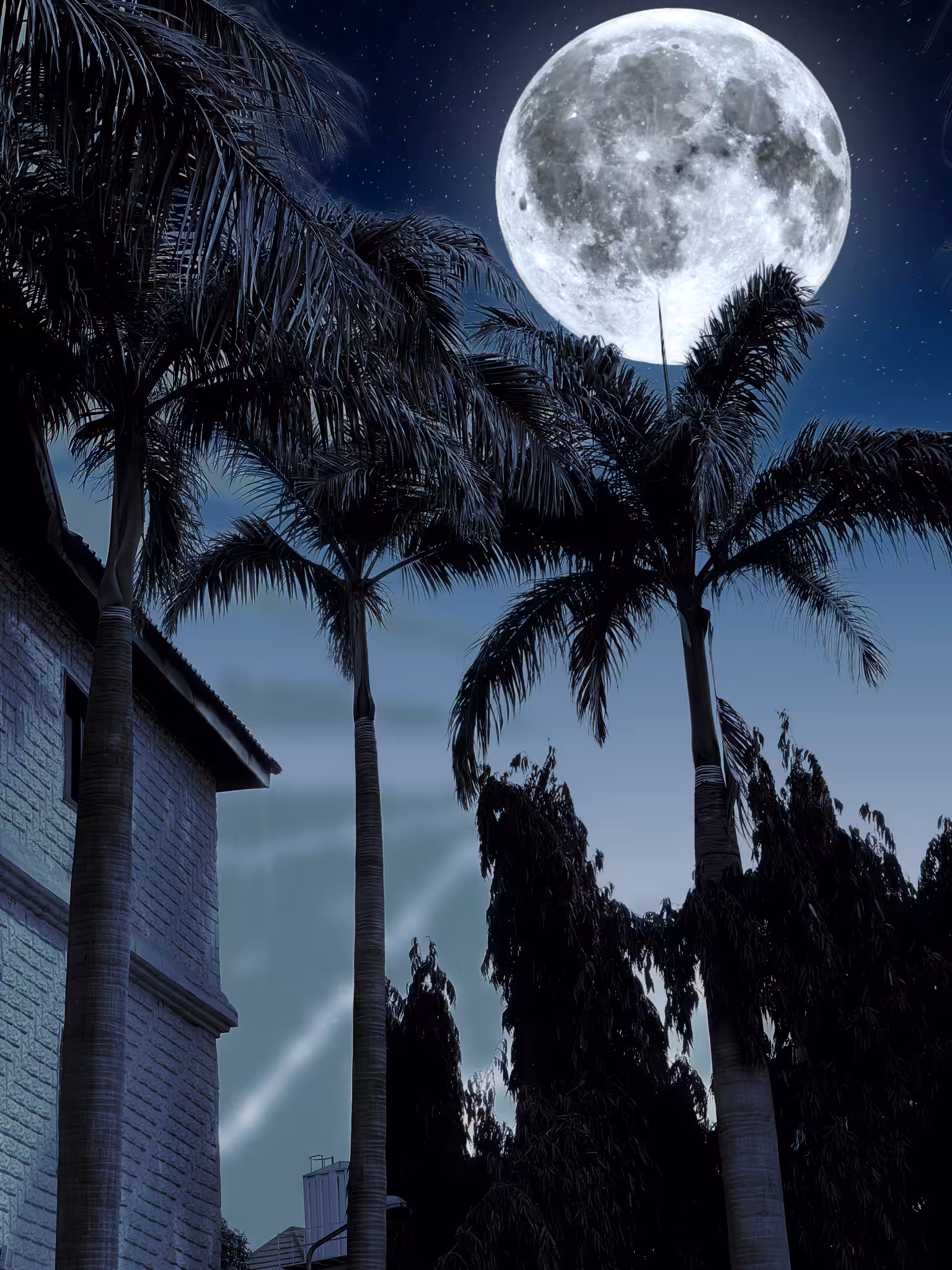 Full Moon 🌕