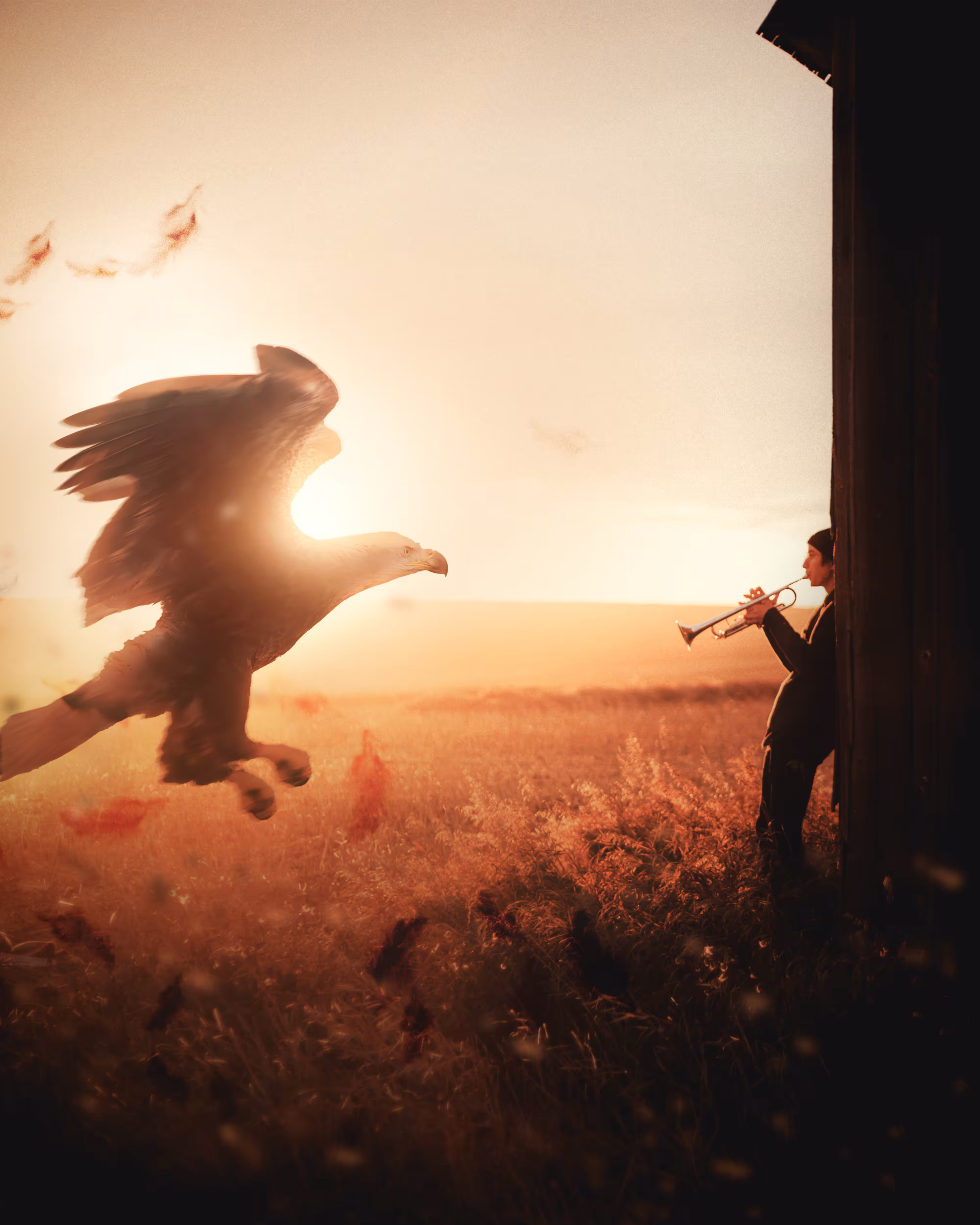 Devil of the Sky