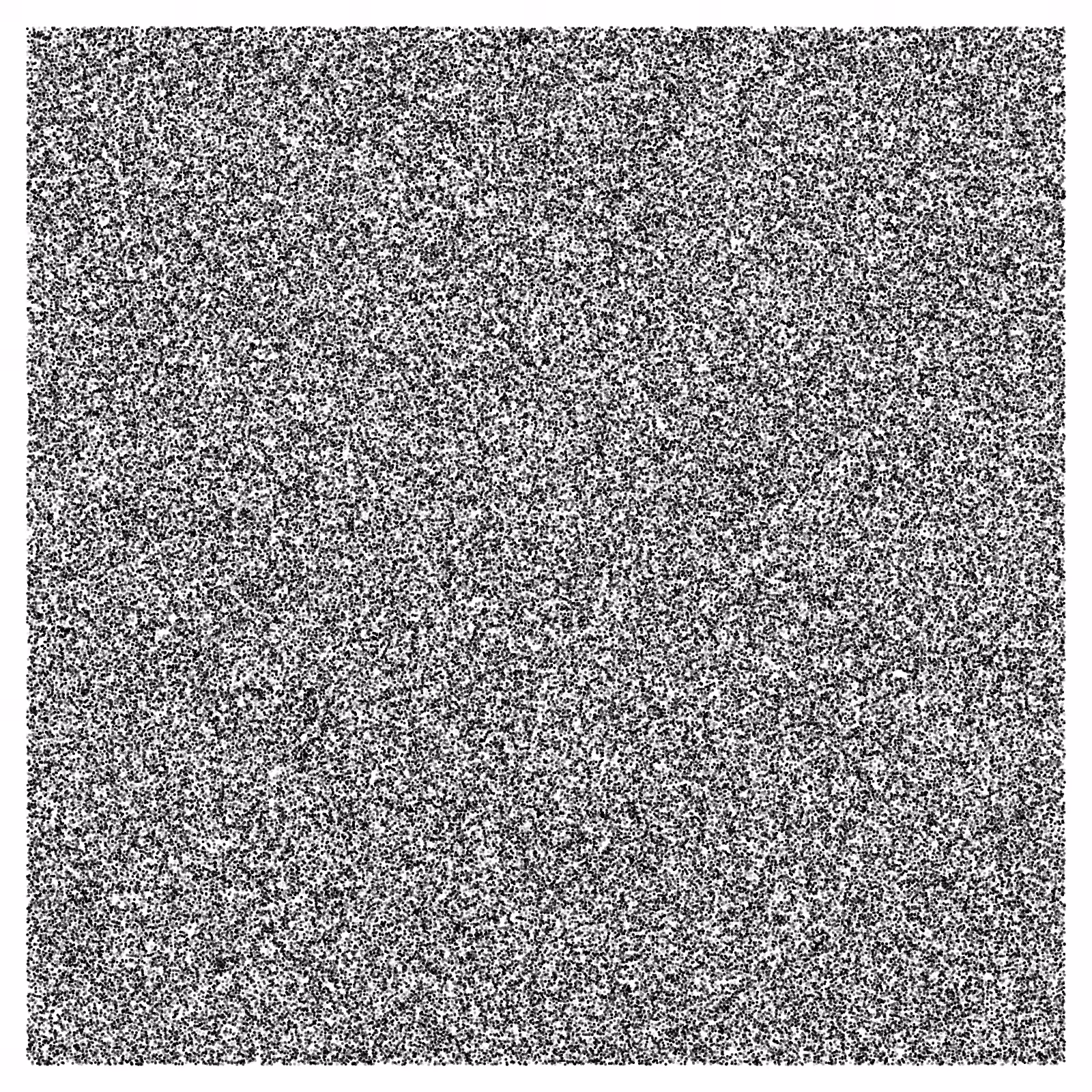 Noise #41