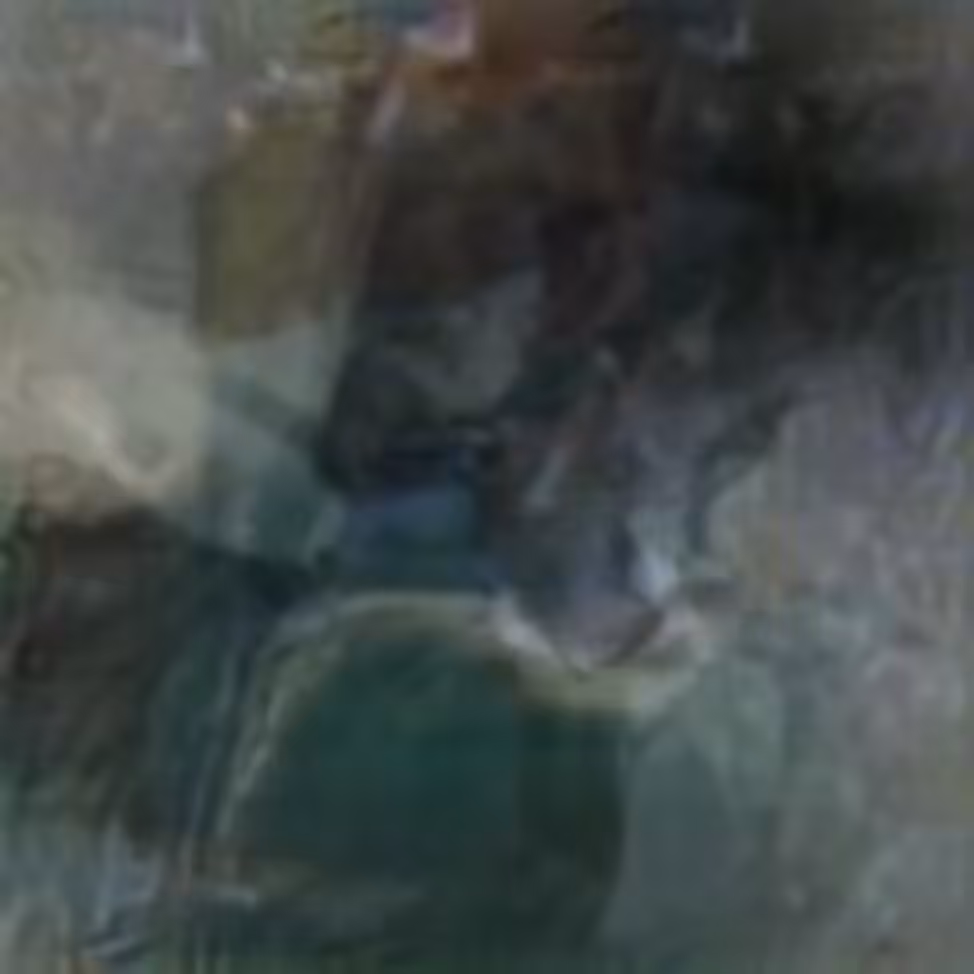 Evolved Hallucinations: SERPENTINE