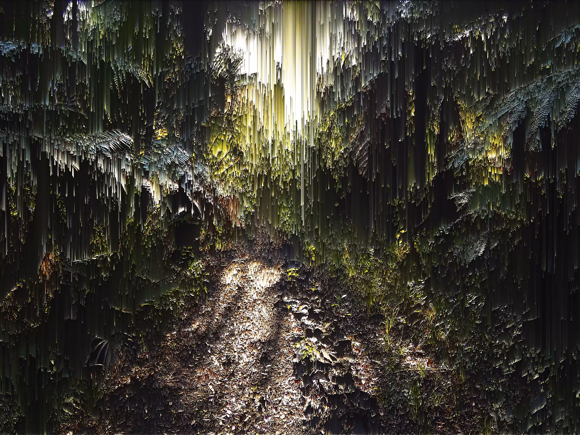 Bush Pixel Sort 1