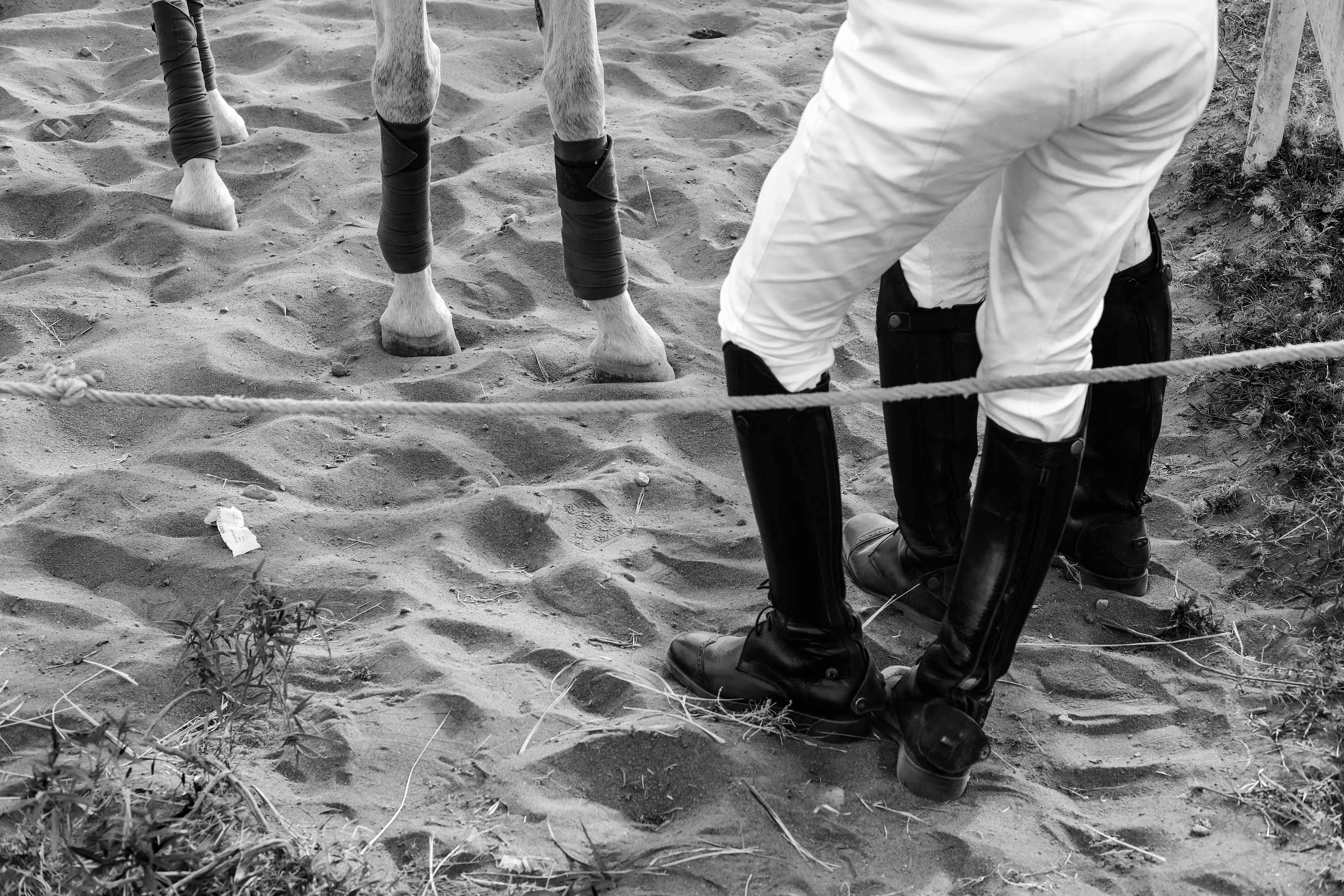 Sport of Kings