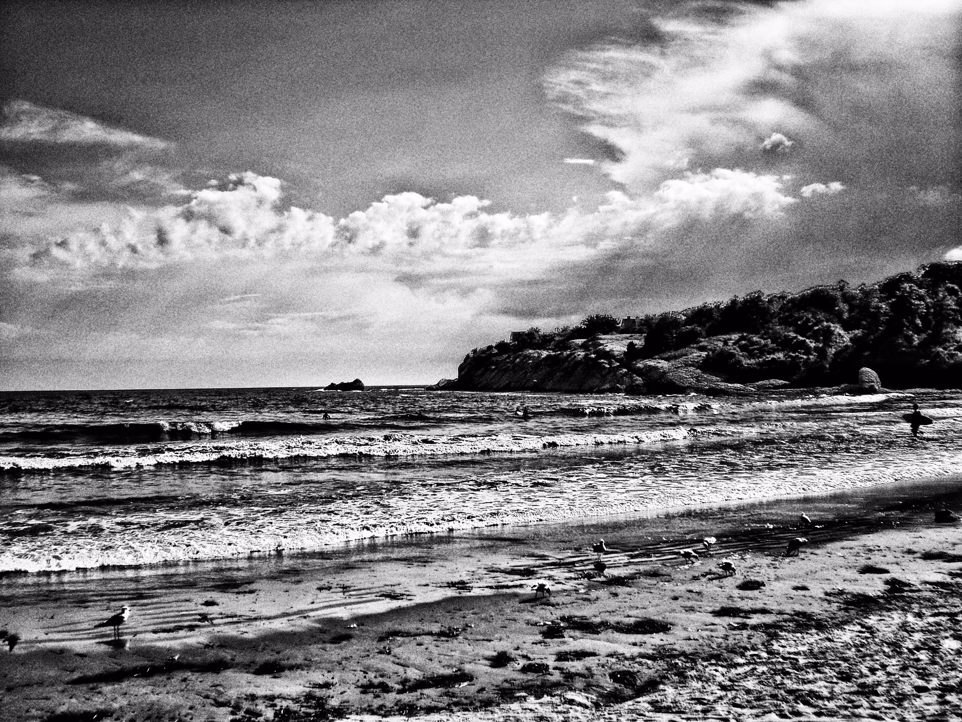 Second Beach Surfer