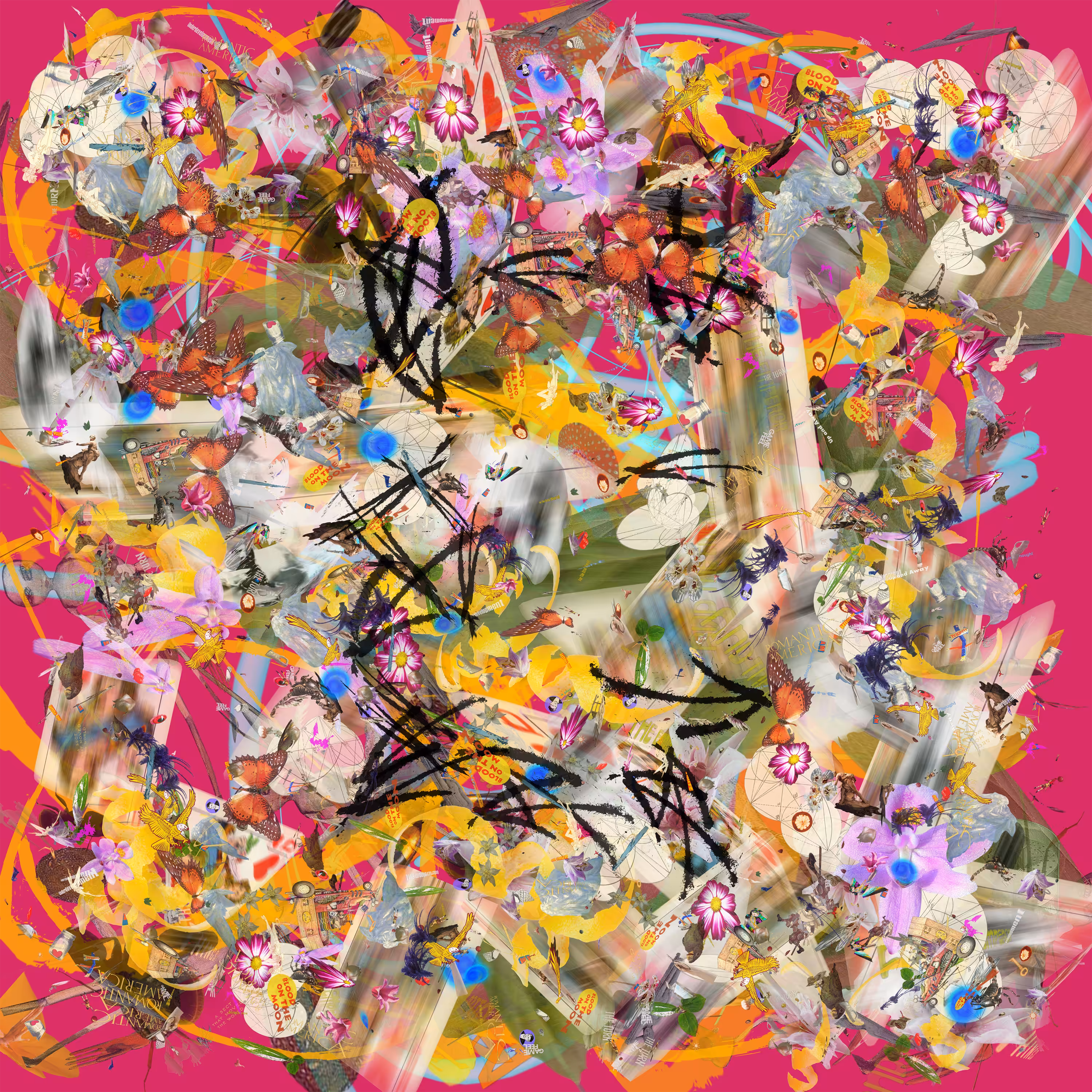 IMAGE_POLLOCK_3K_77_1689